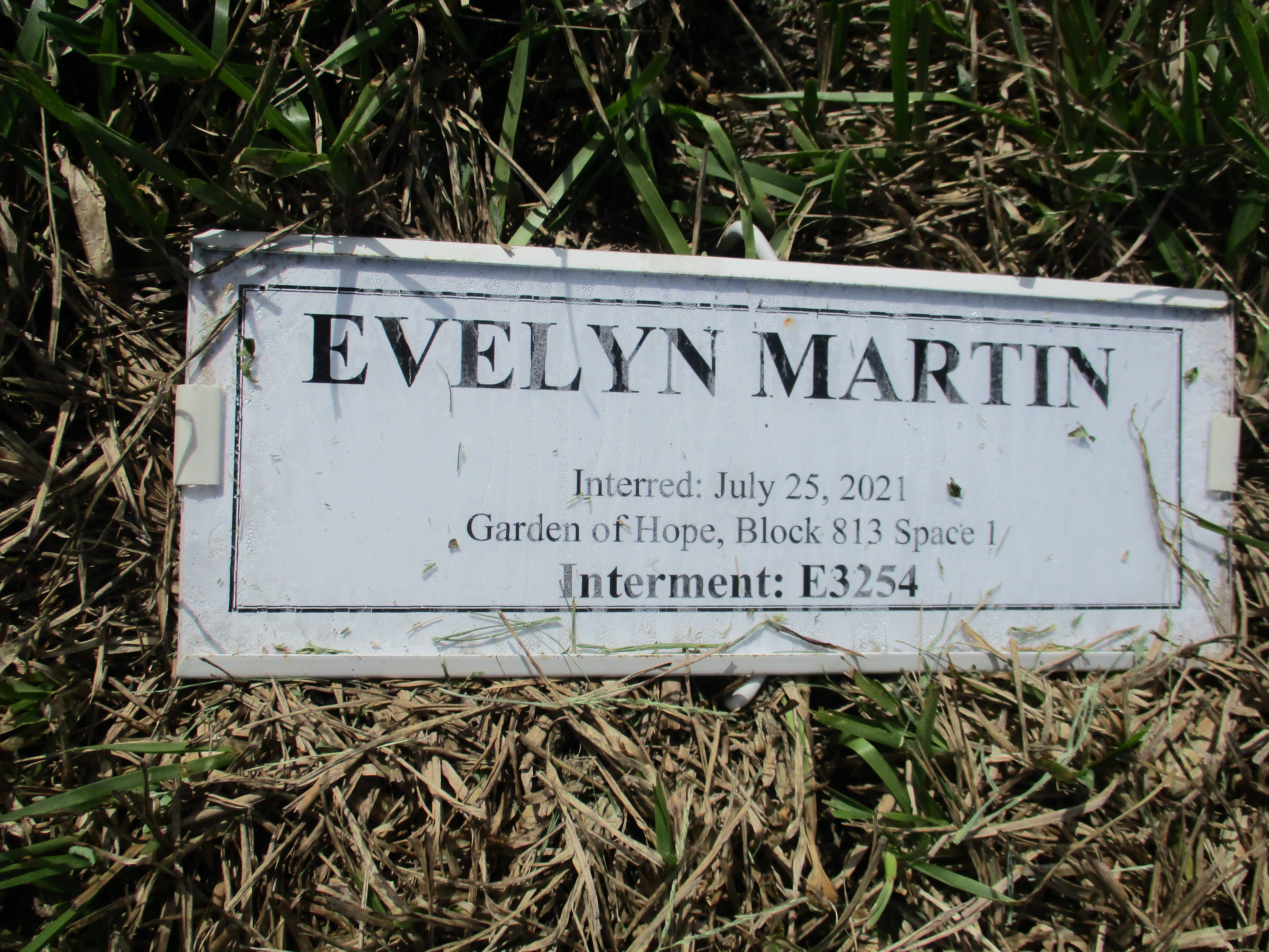Evelyn Martin