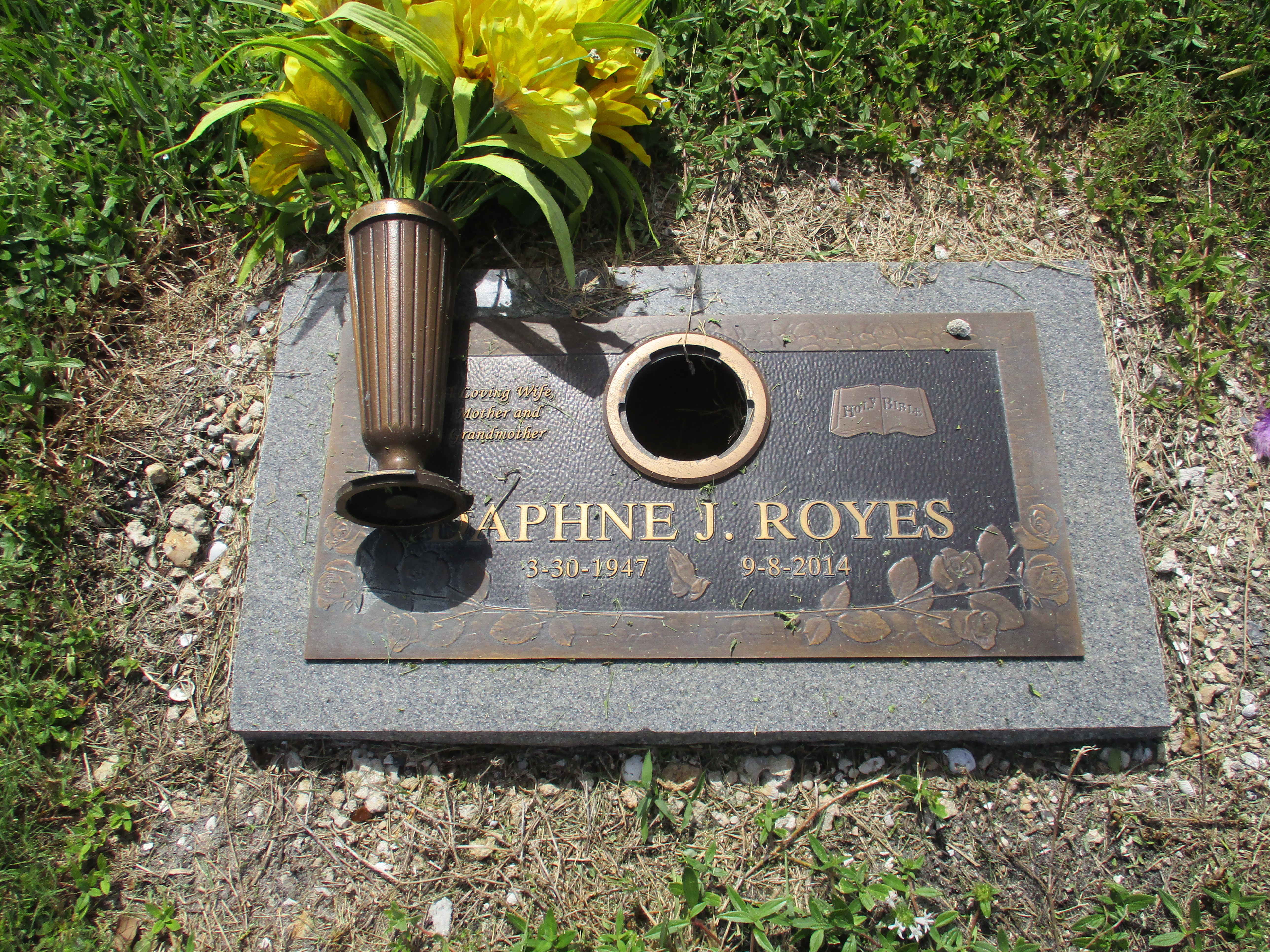 Daphne J Royes
