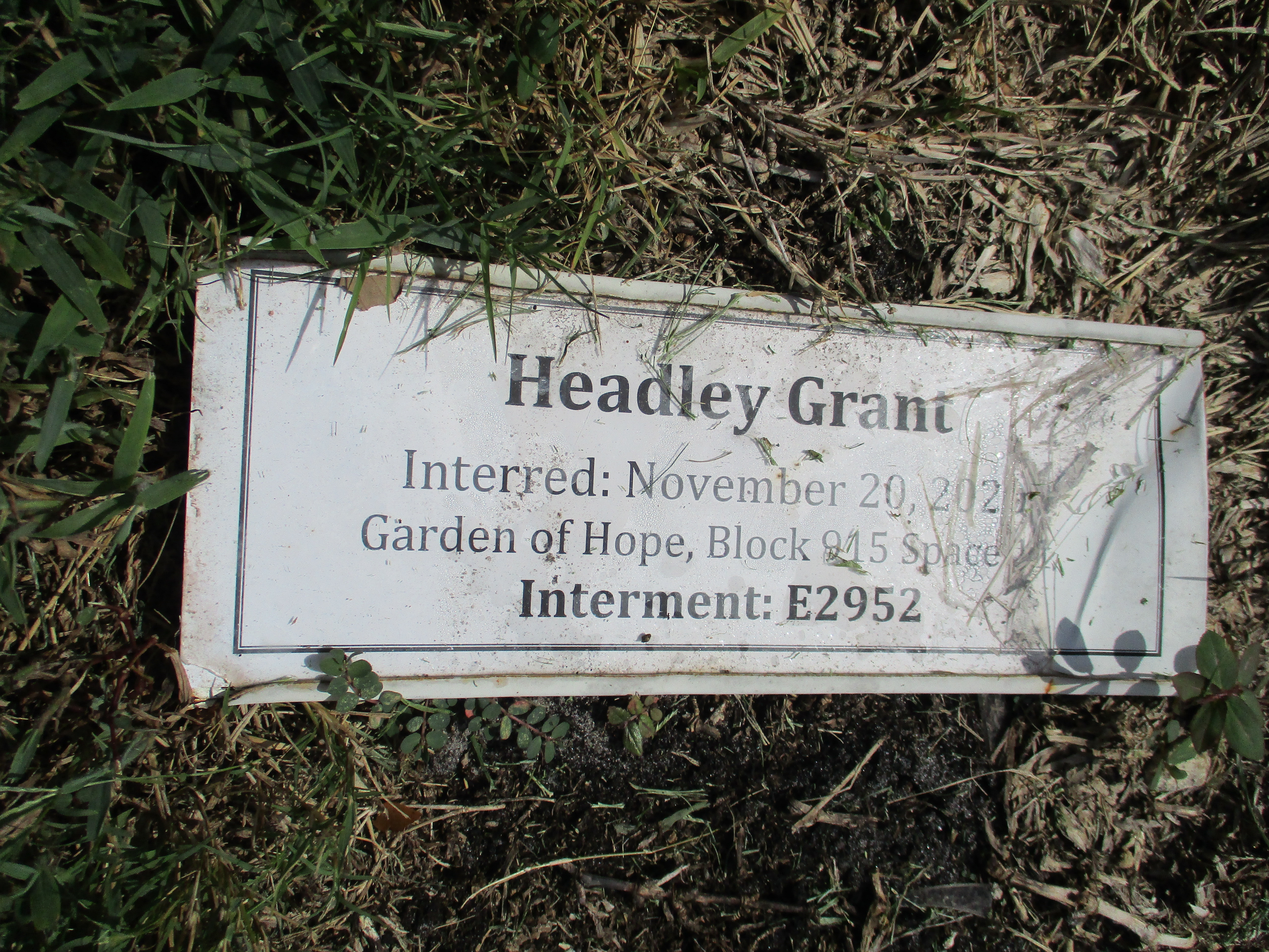 Headley Grant