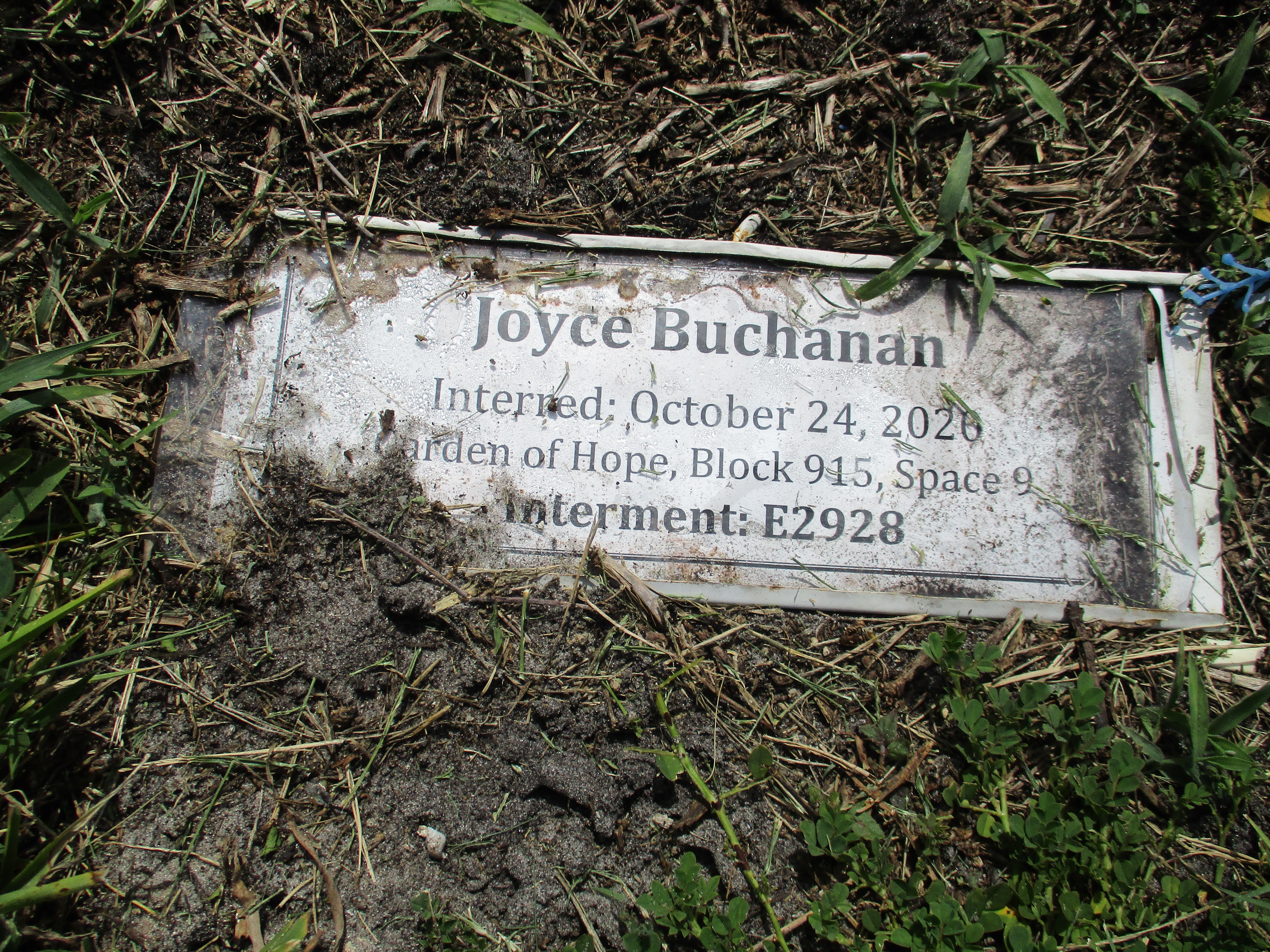 Joyce Buchanan