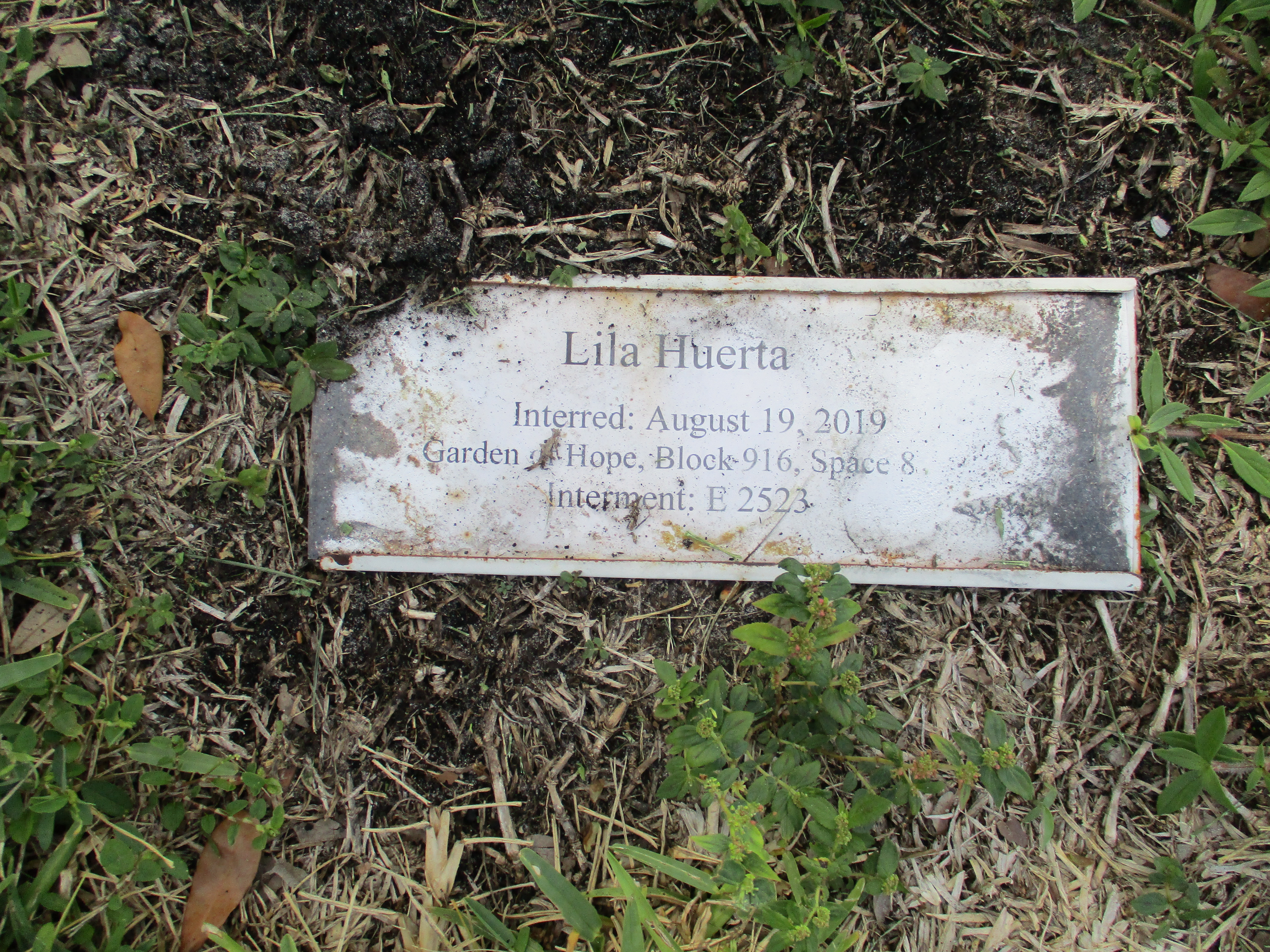 Lila Huerta