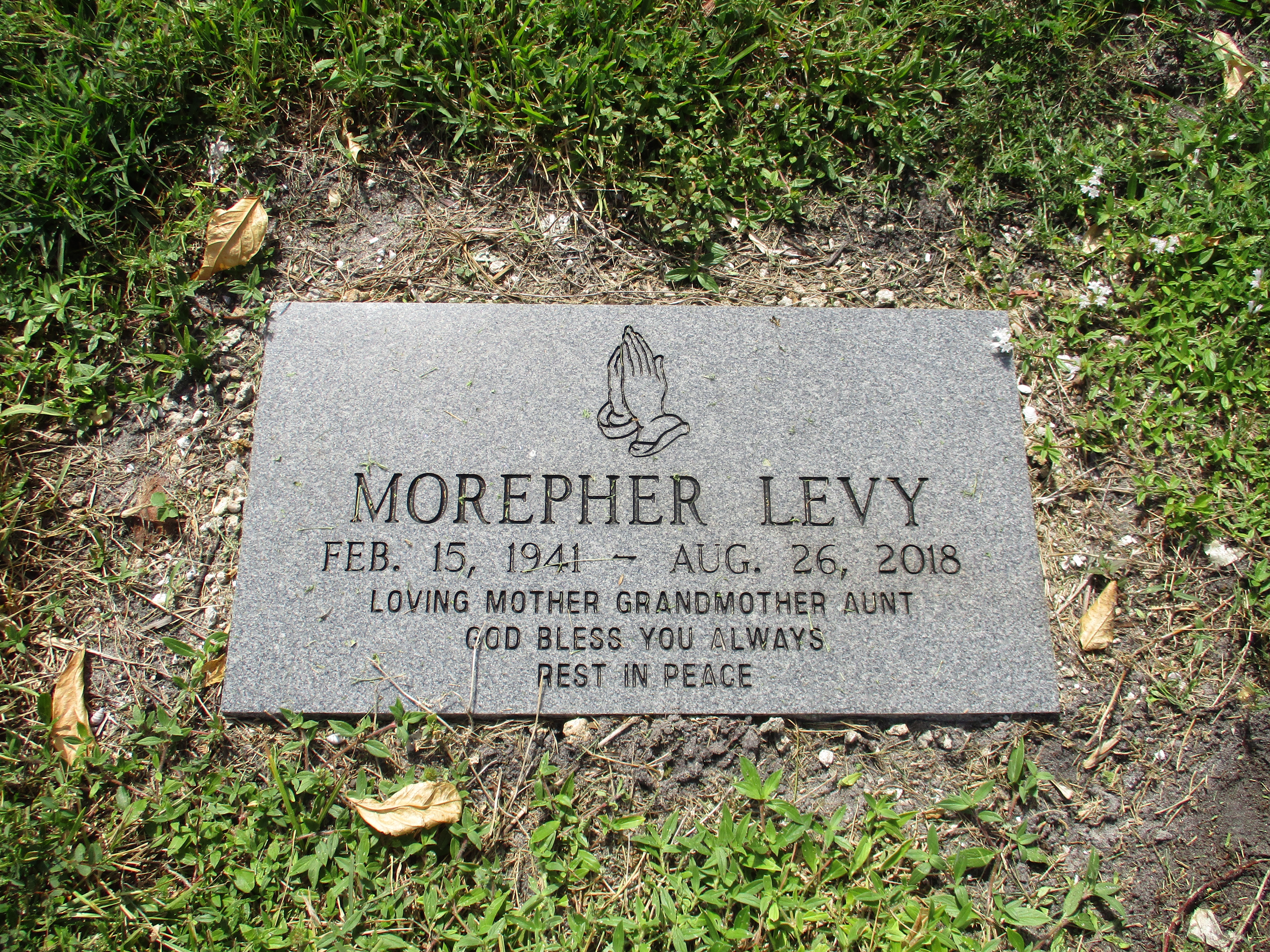 Morepher Levy