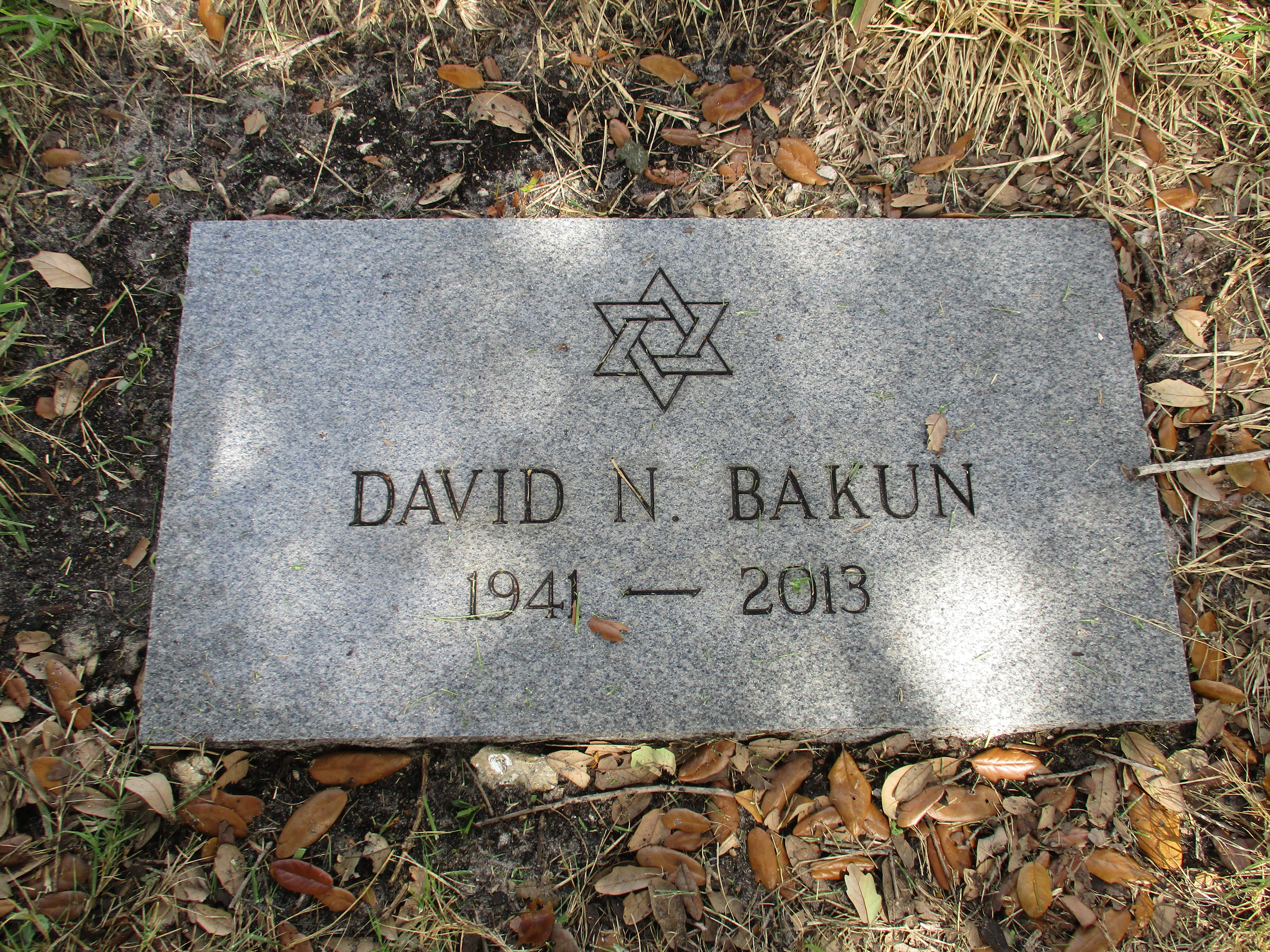 David N Bakun