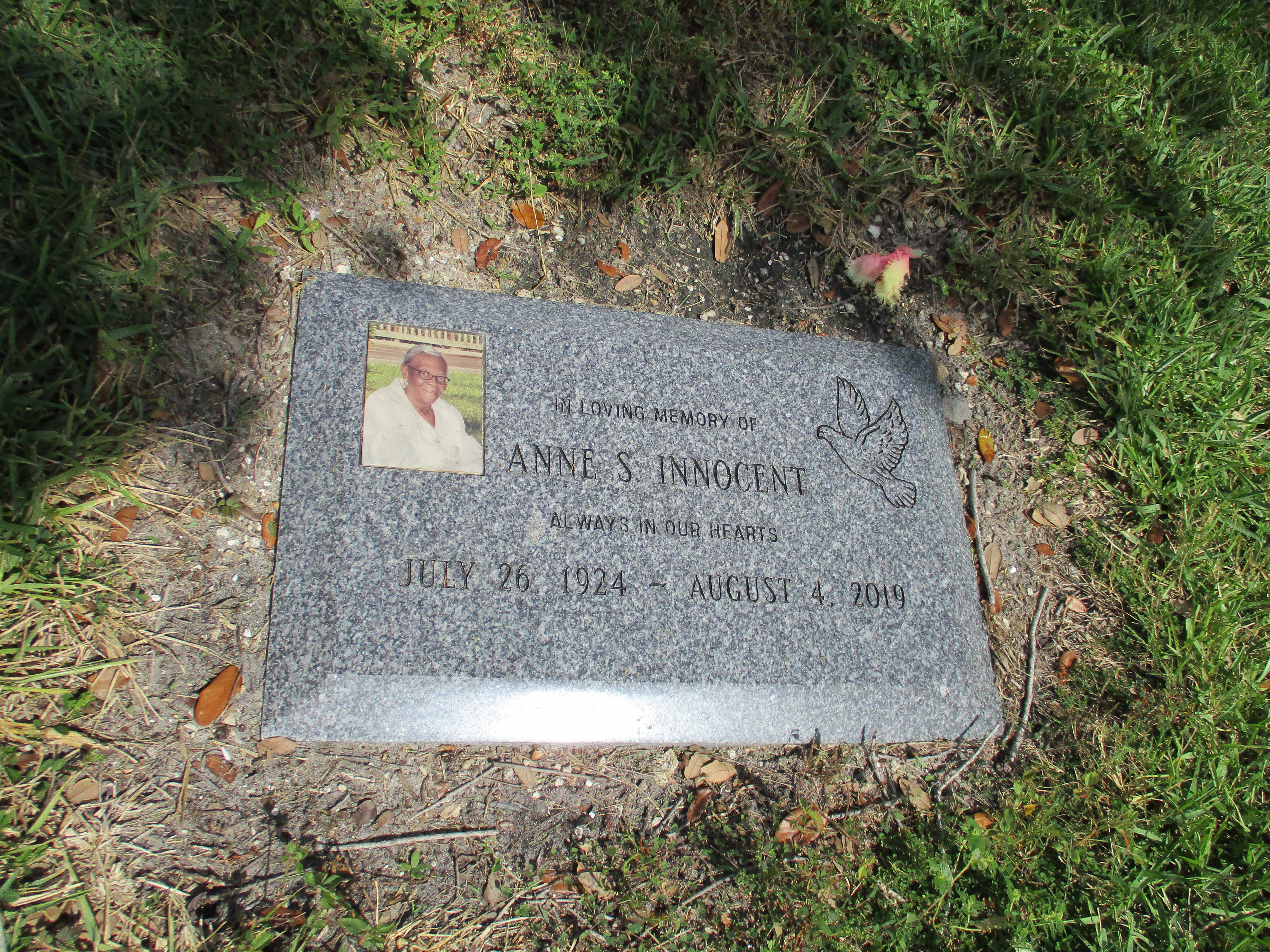 Anne S Innocent