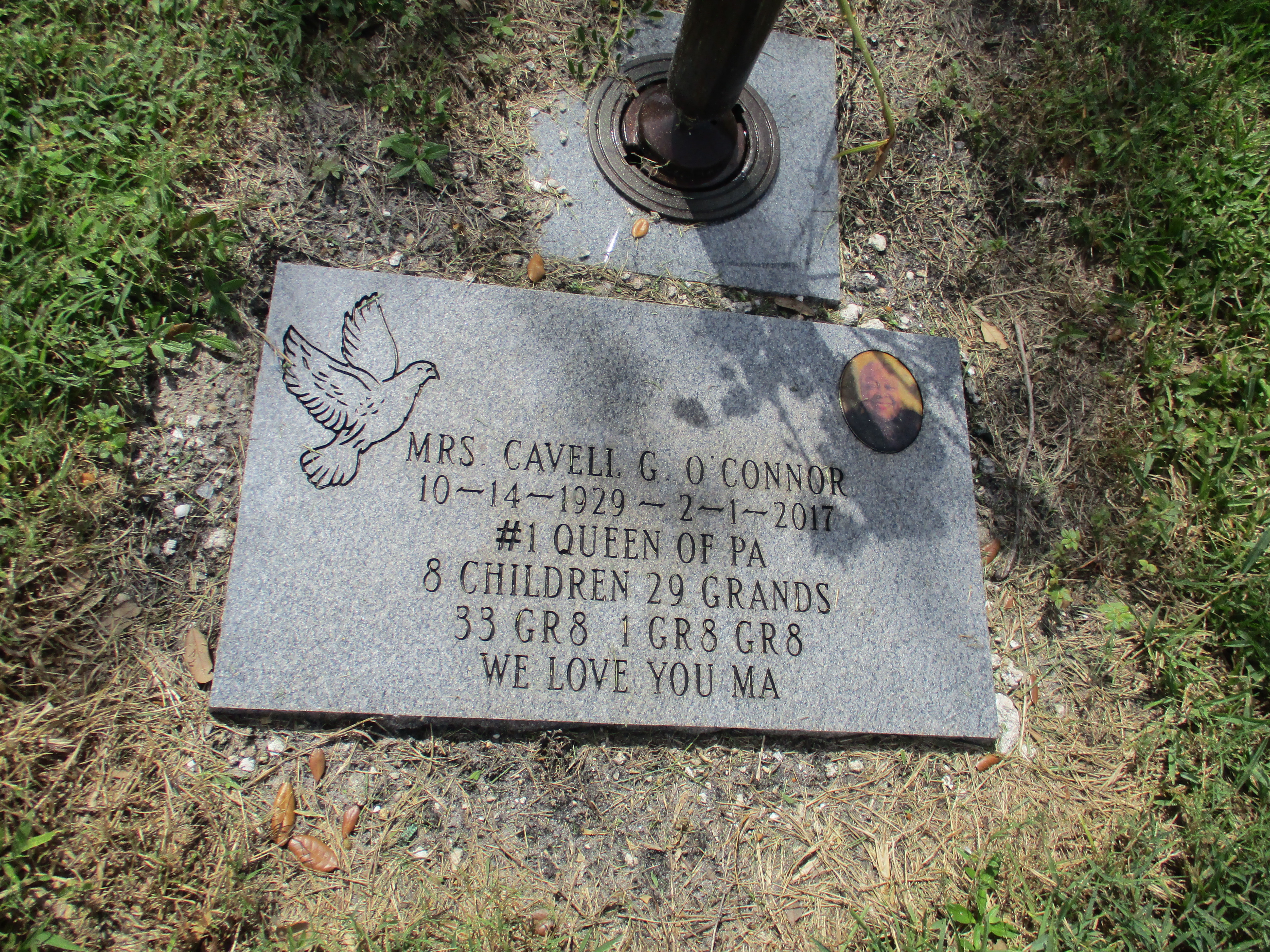 Cavell G O'Connor