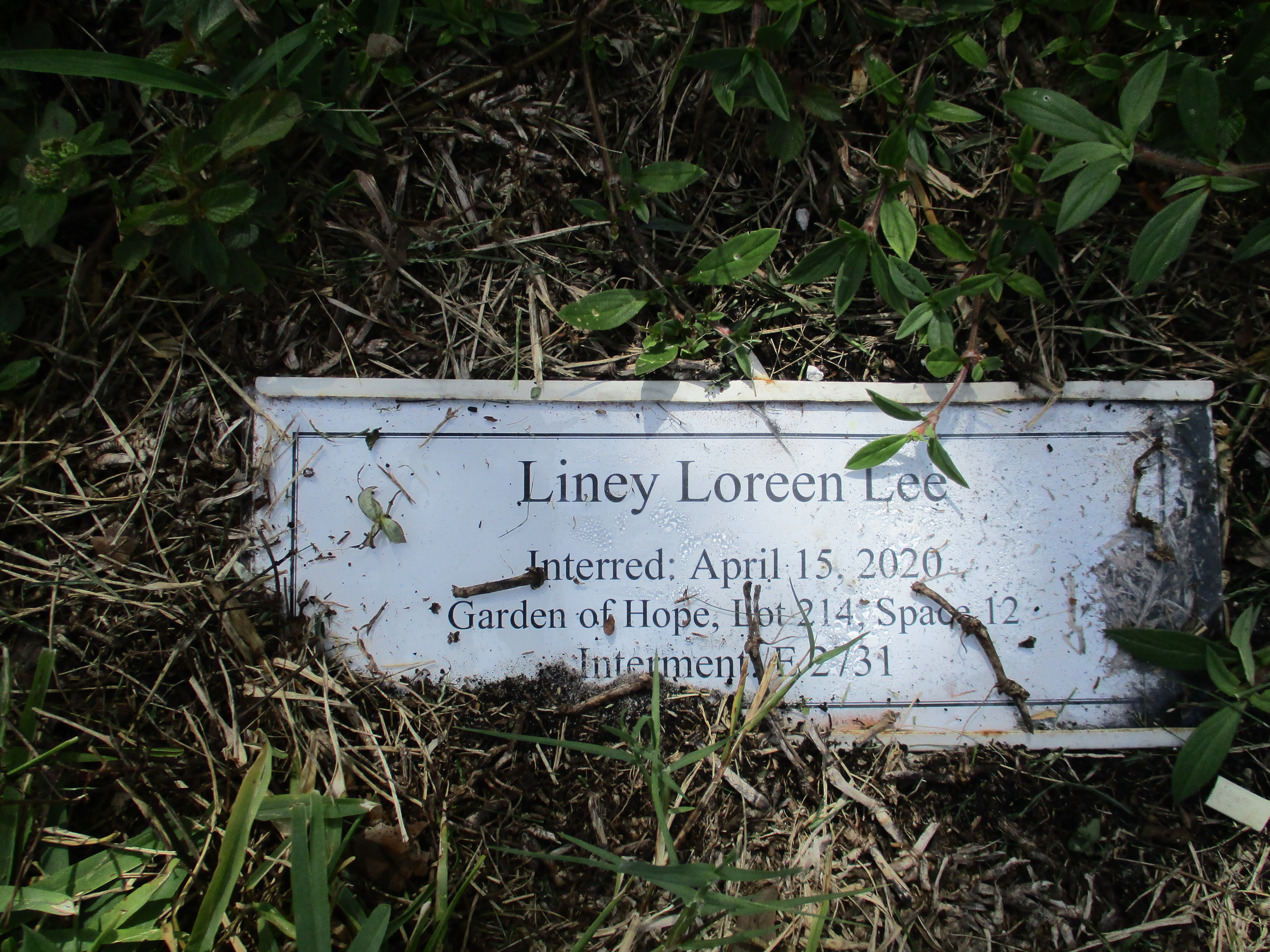 Liney Loreen Lee
