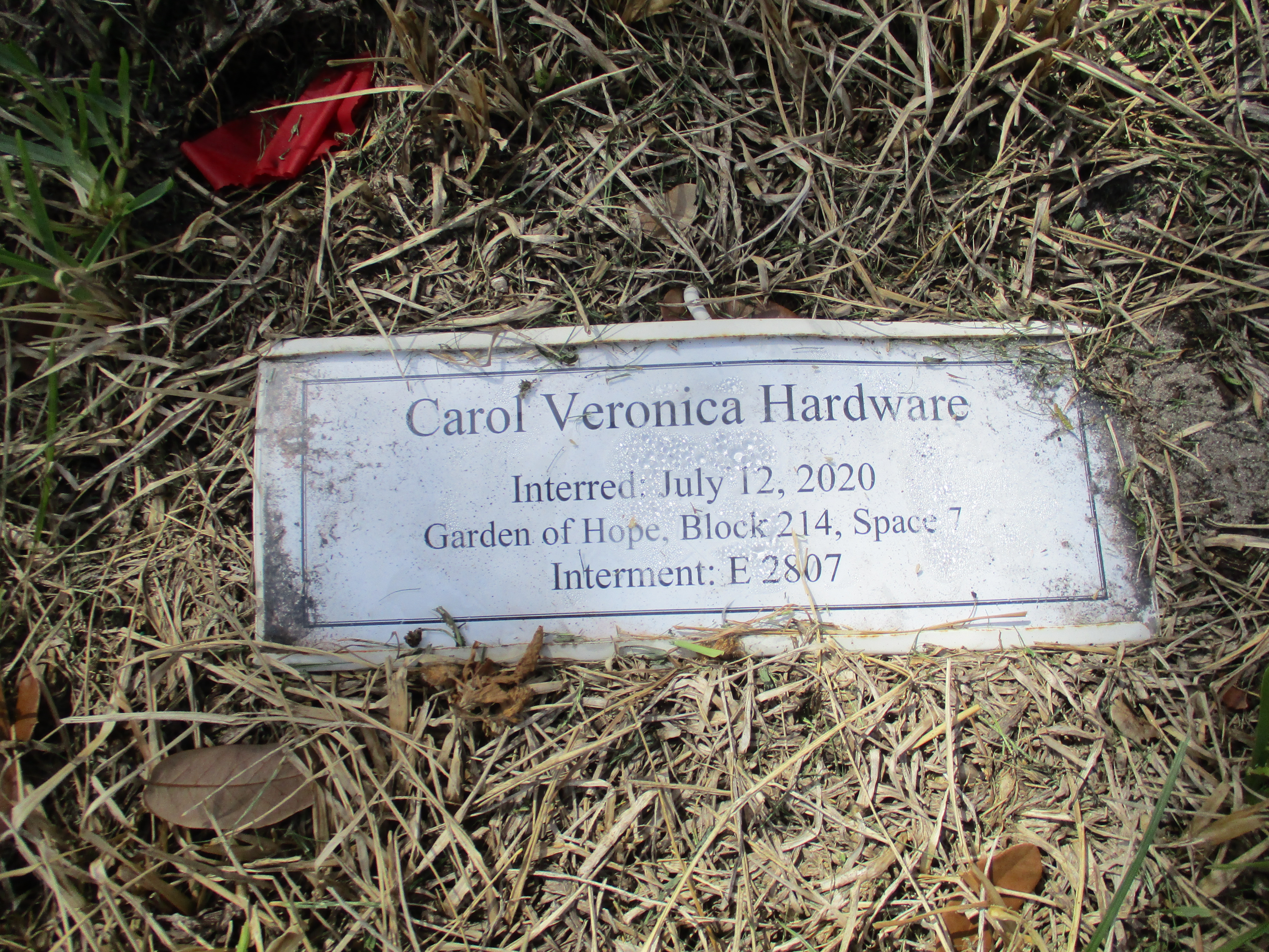 Carol Veronica Hardware