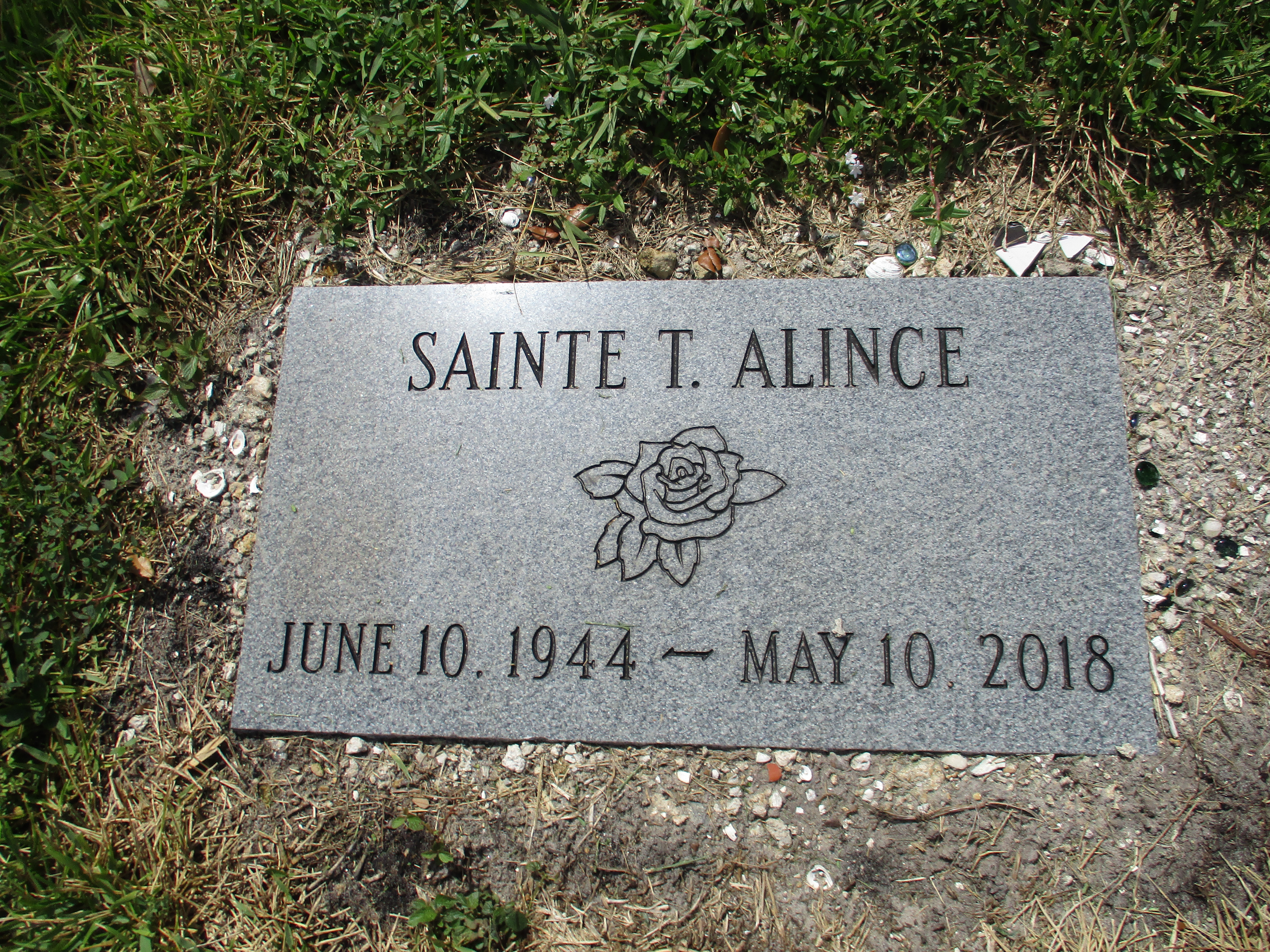Sainte T Alince