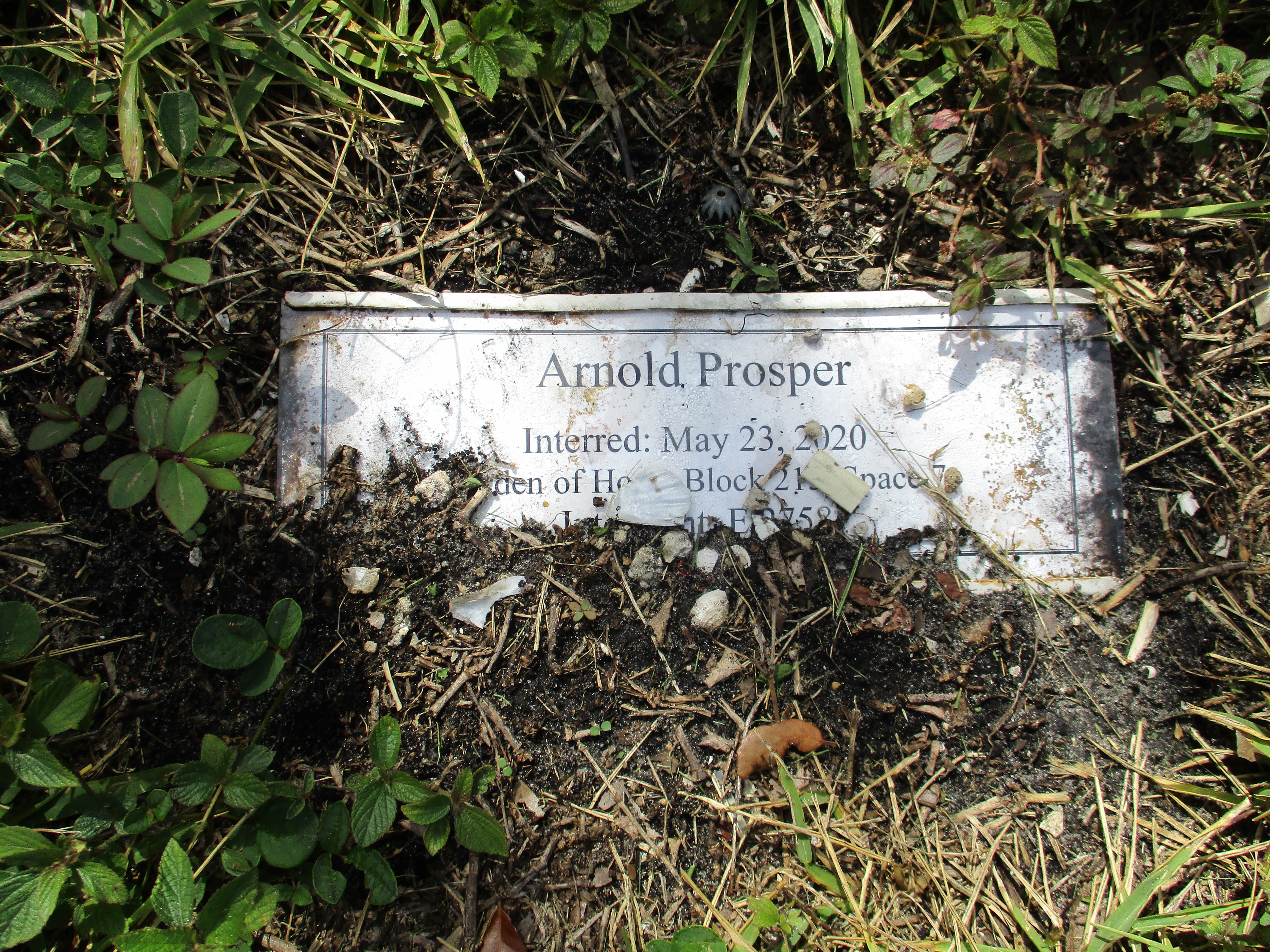 Arnold Prosper
