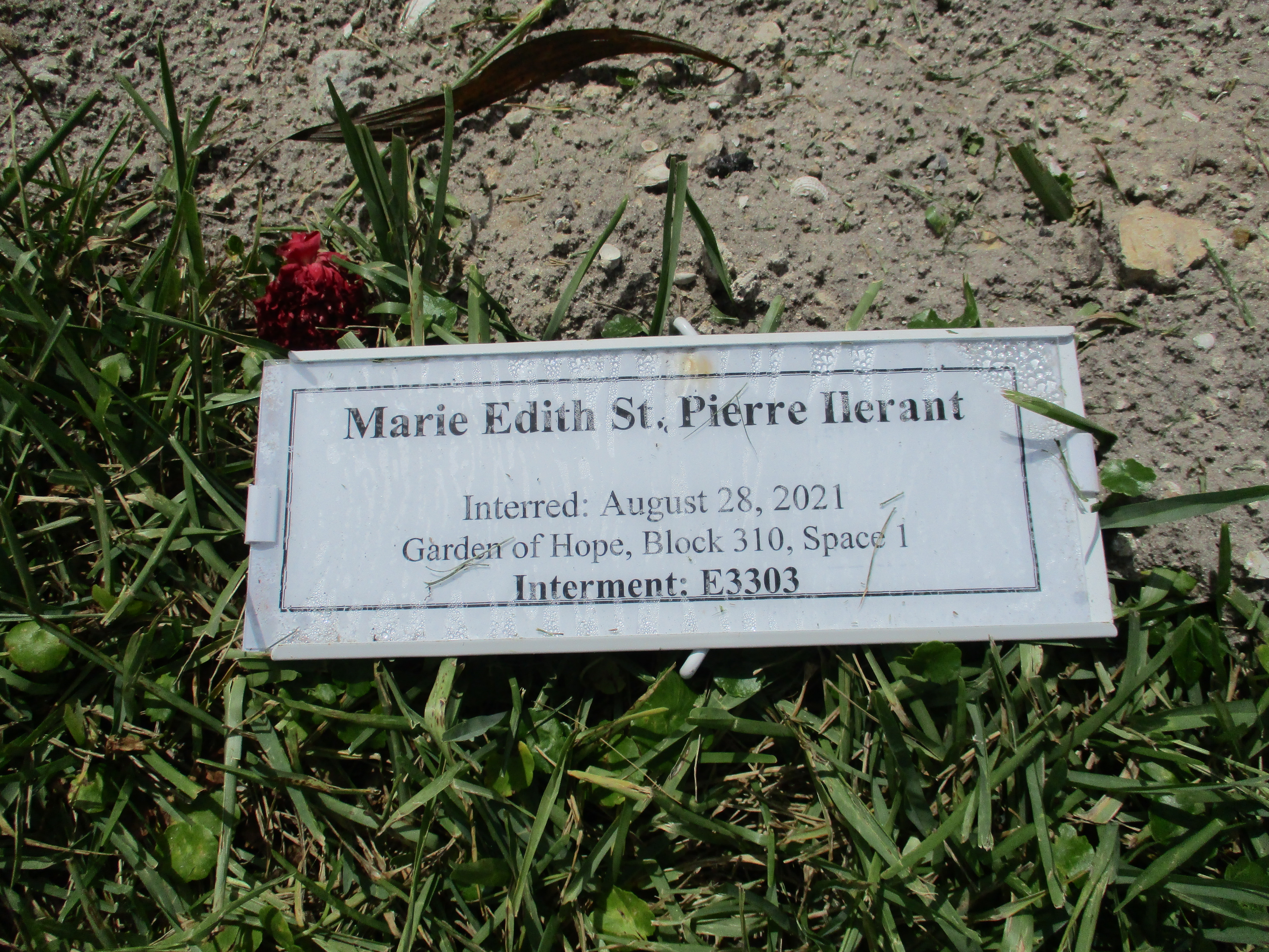 Marie Edith St Pierre Ilerant