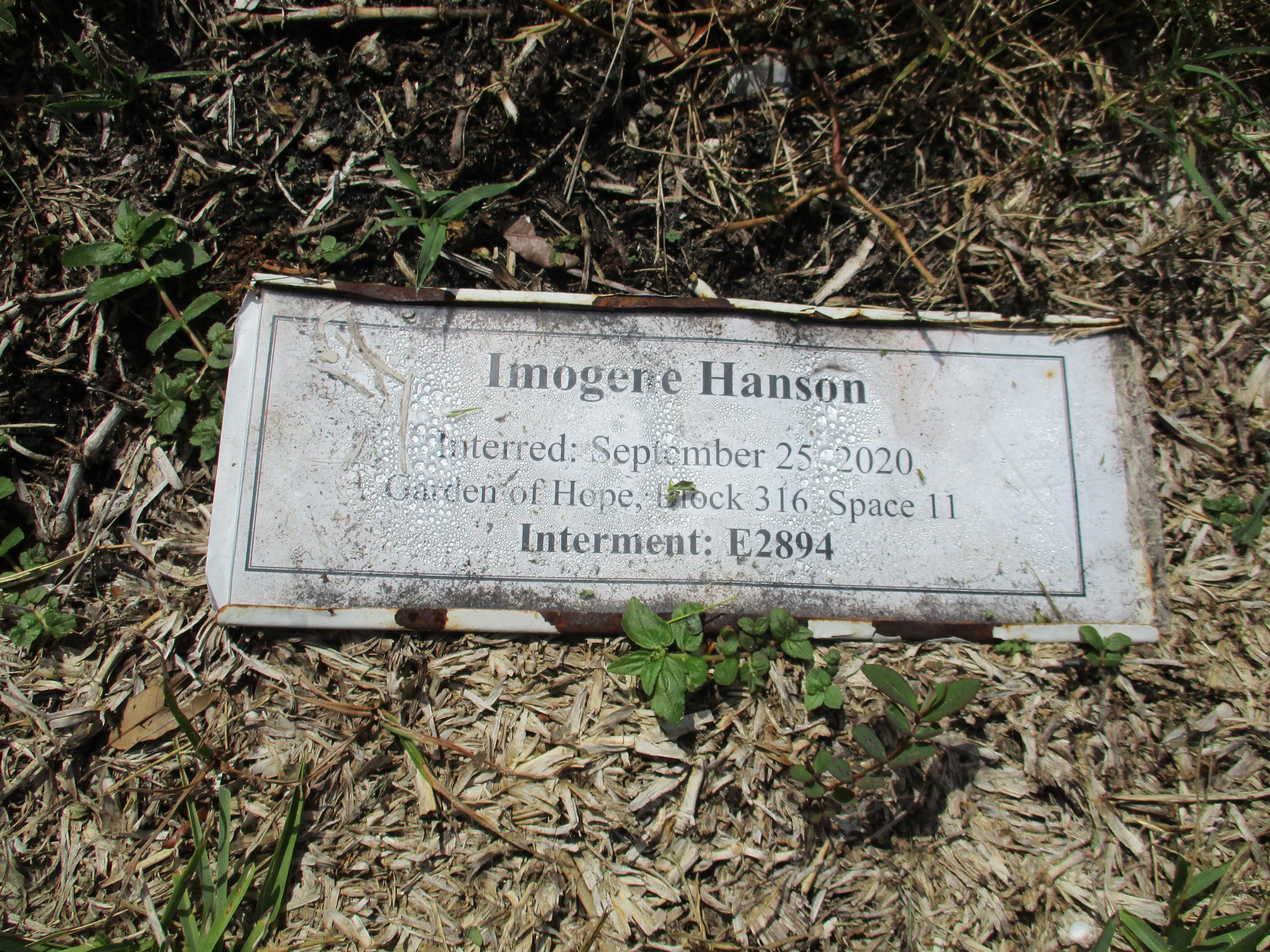 Imogene Hanson
