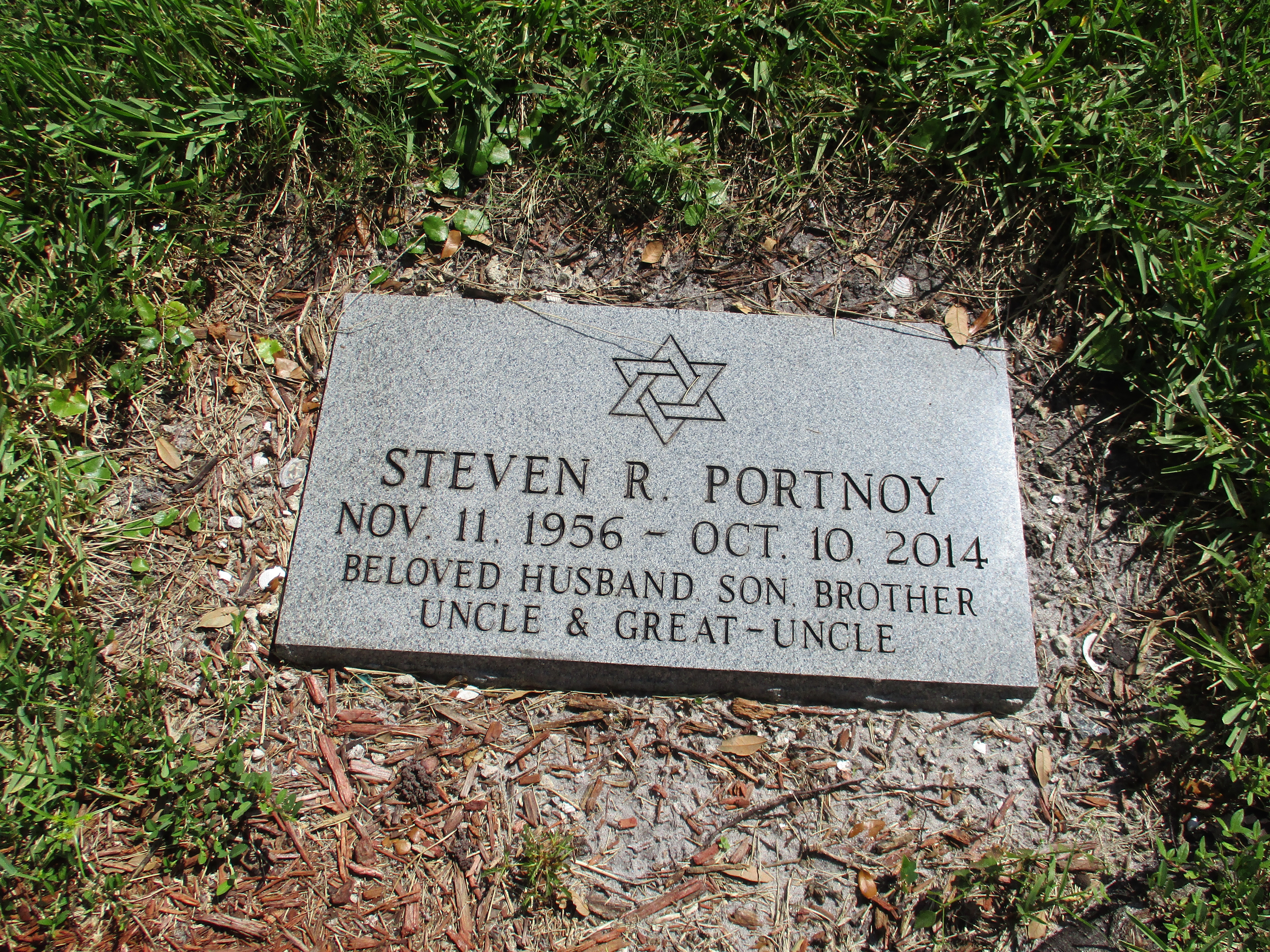 Steven R Portnoy