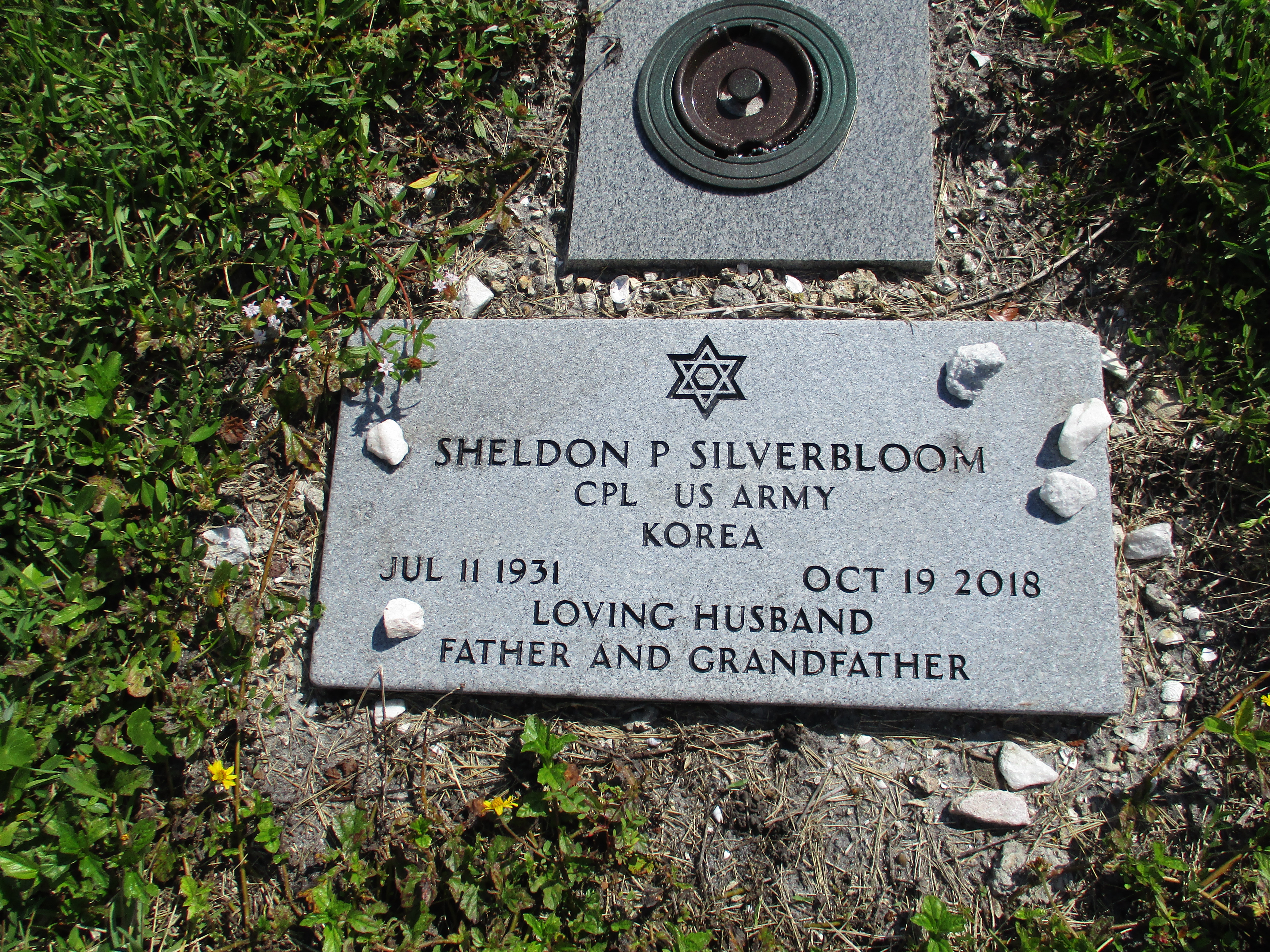 Sheldon P Silverbloom