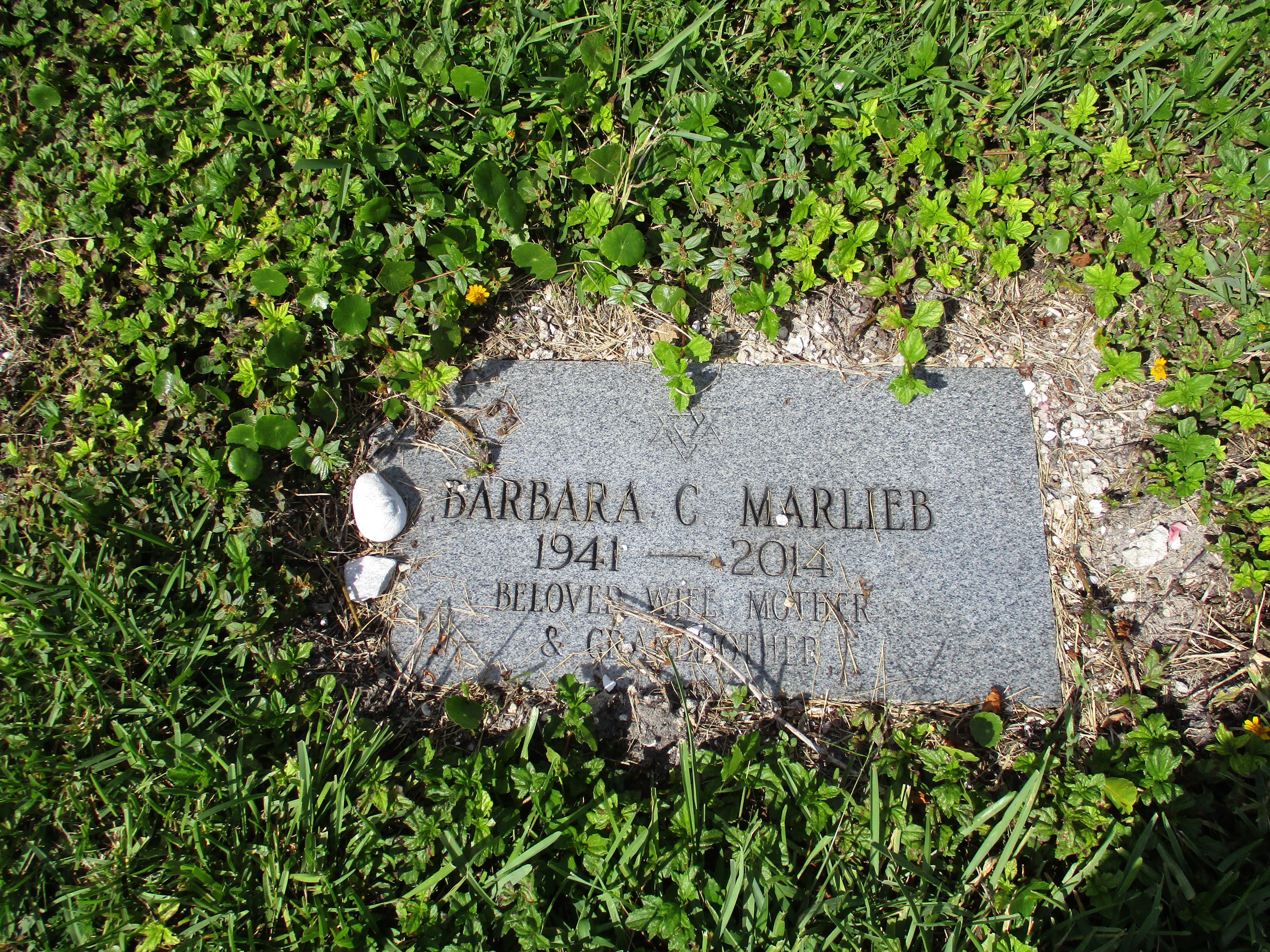 Barbara C Marlieb