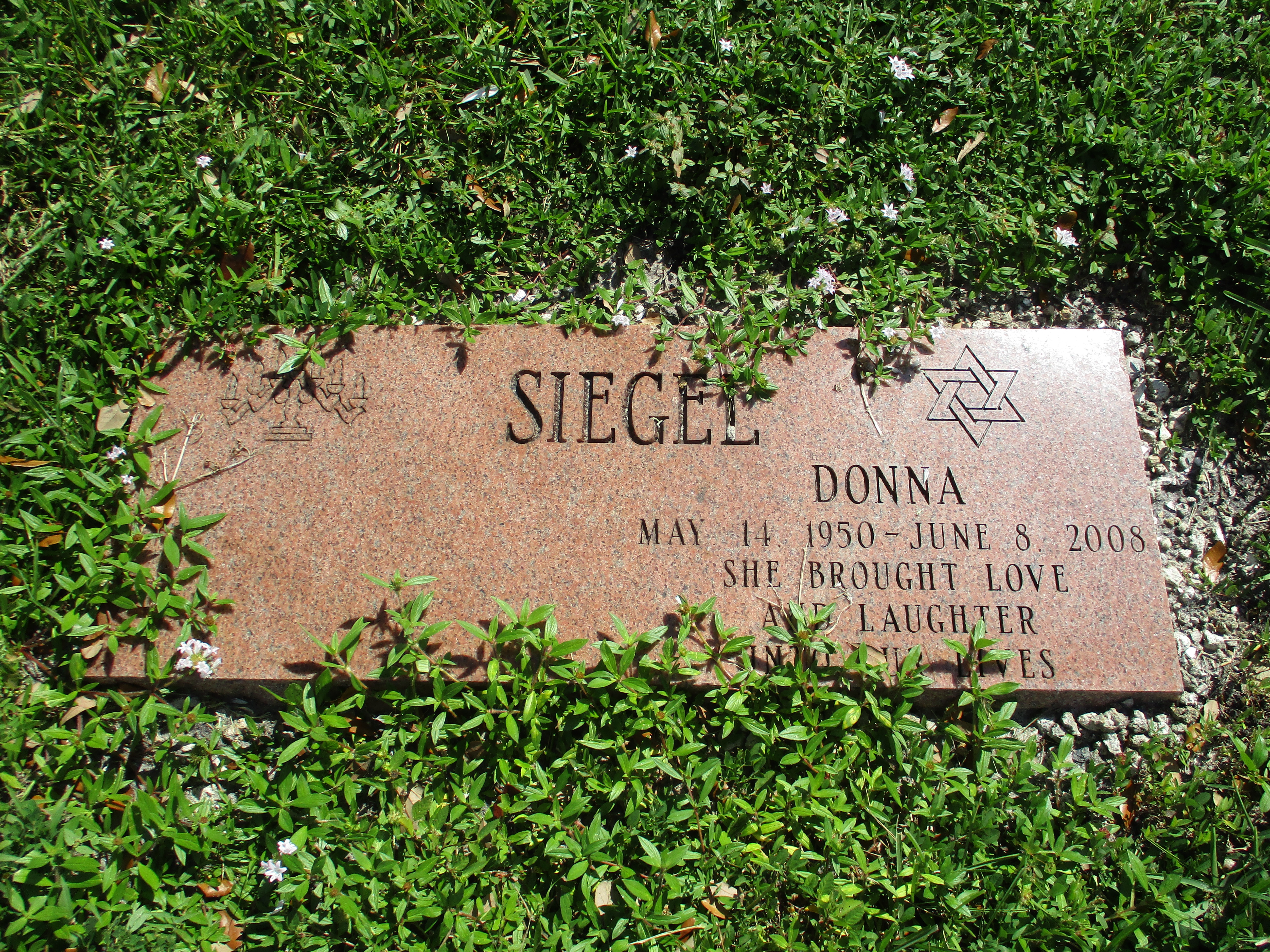 Donna Siegel