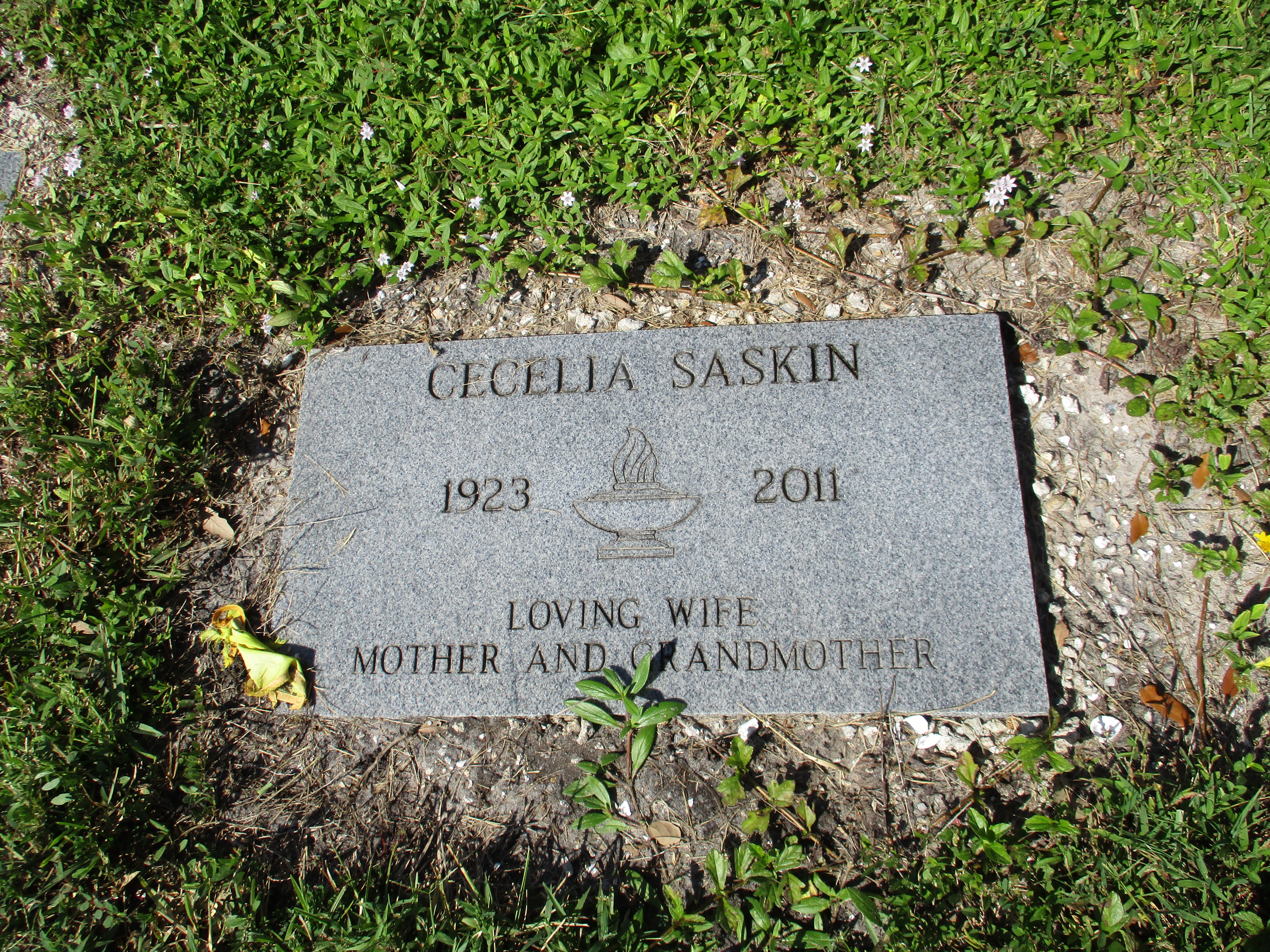 Cecelia Saskin