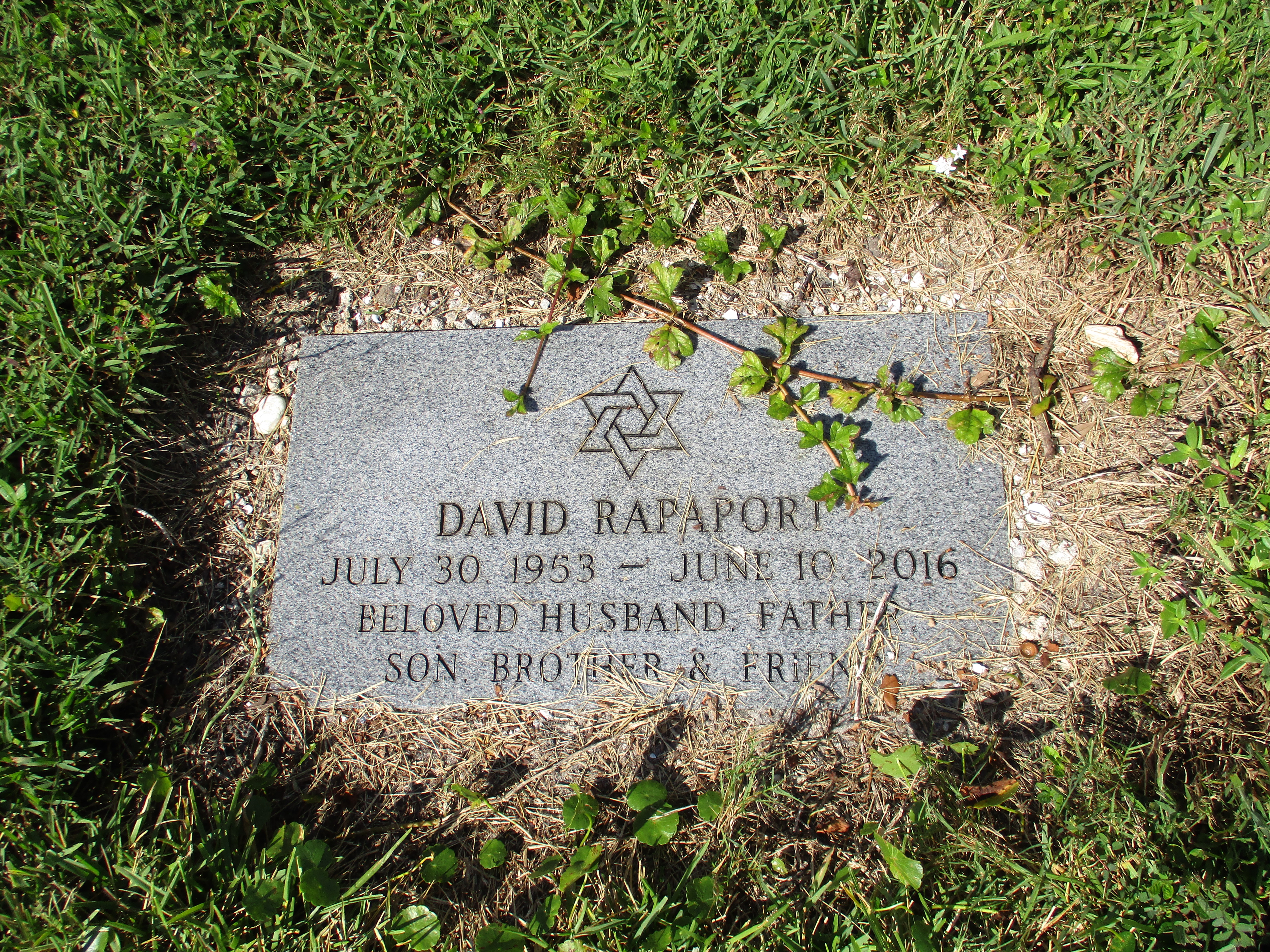 David Rapaport