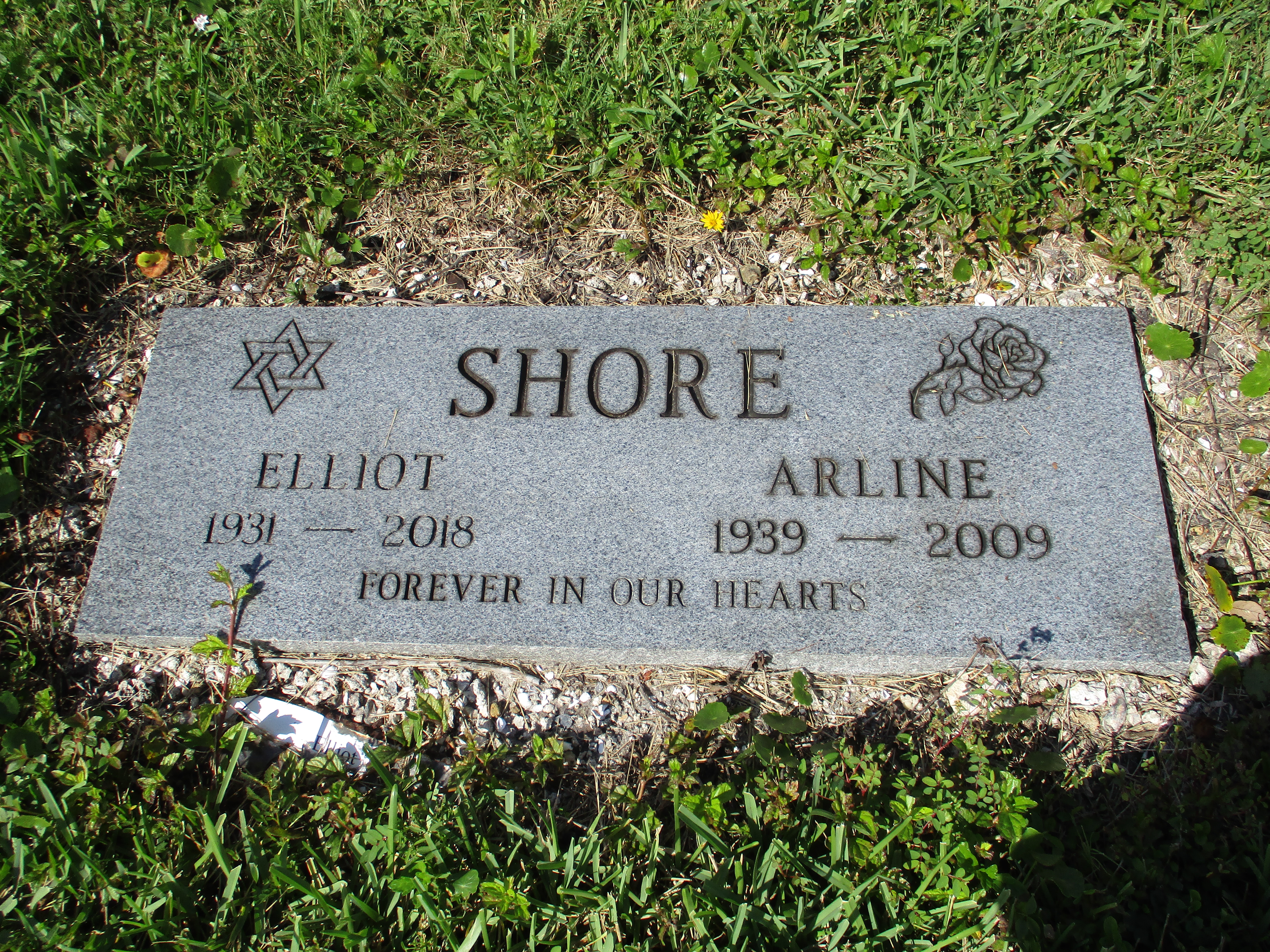 Elliot Shore