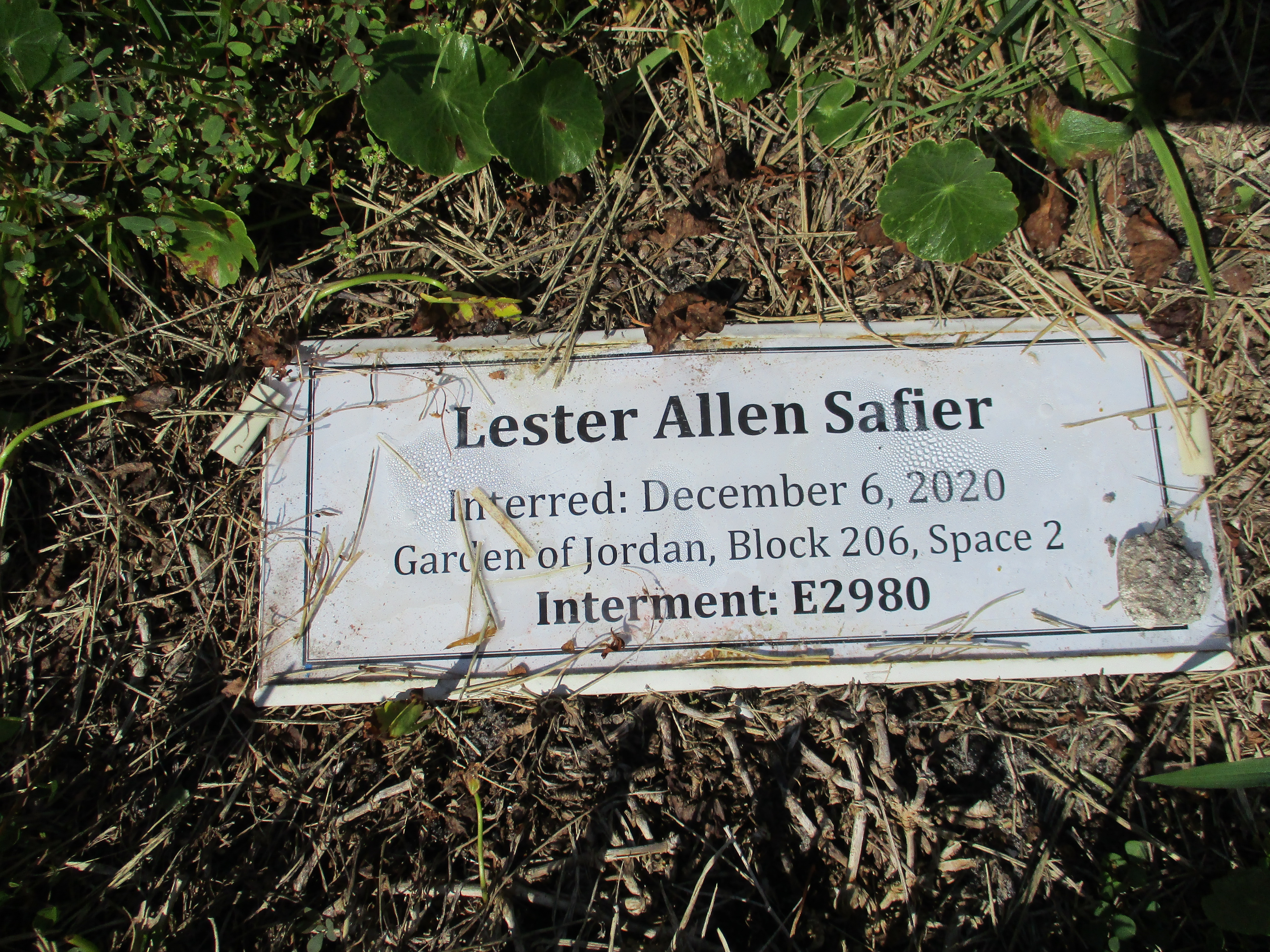 Lester Allen Safier