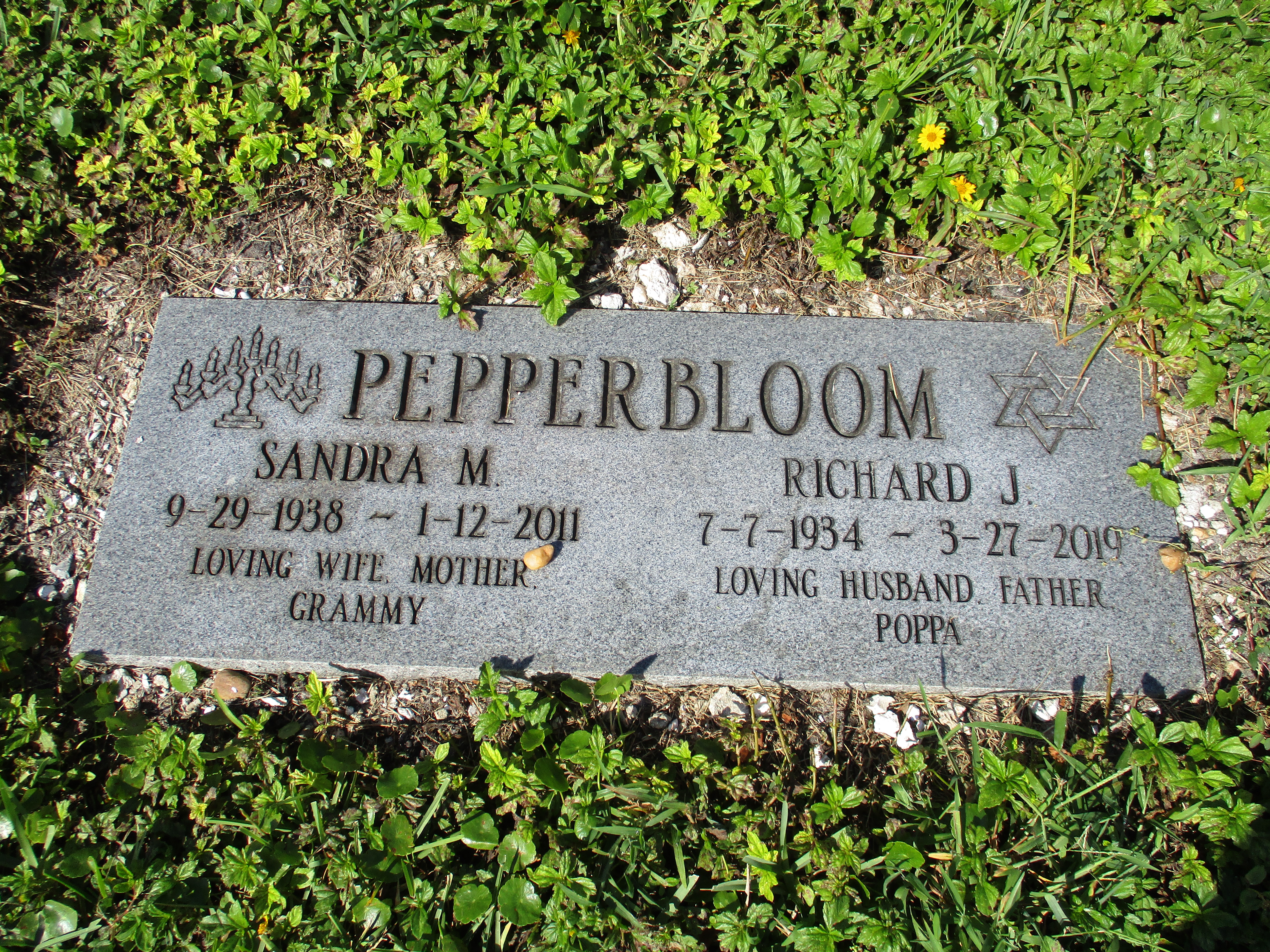 Sandra M Pepperbloom