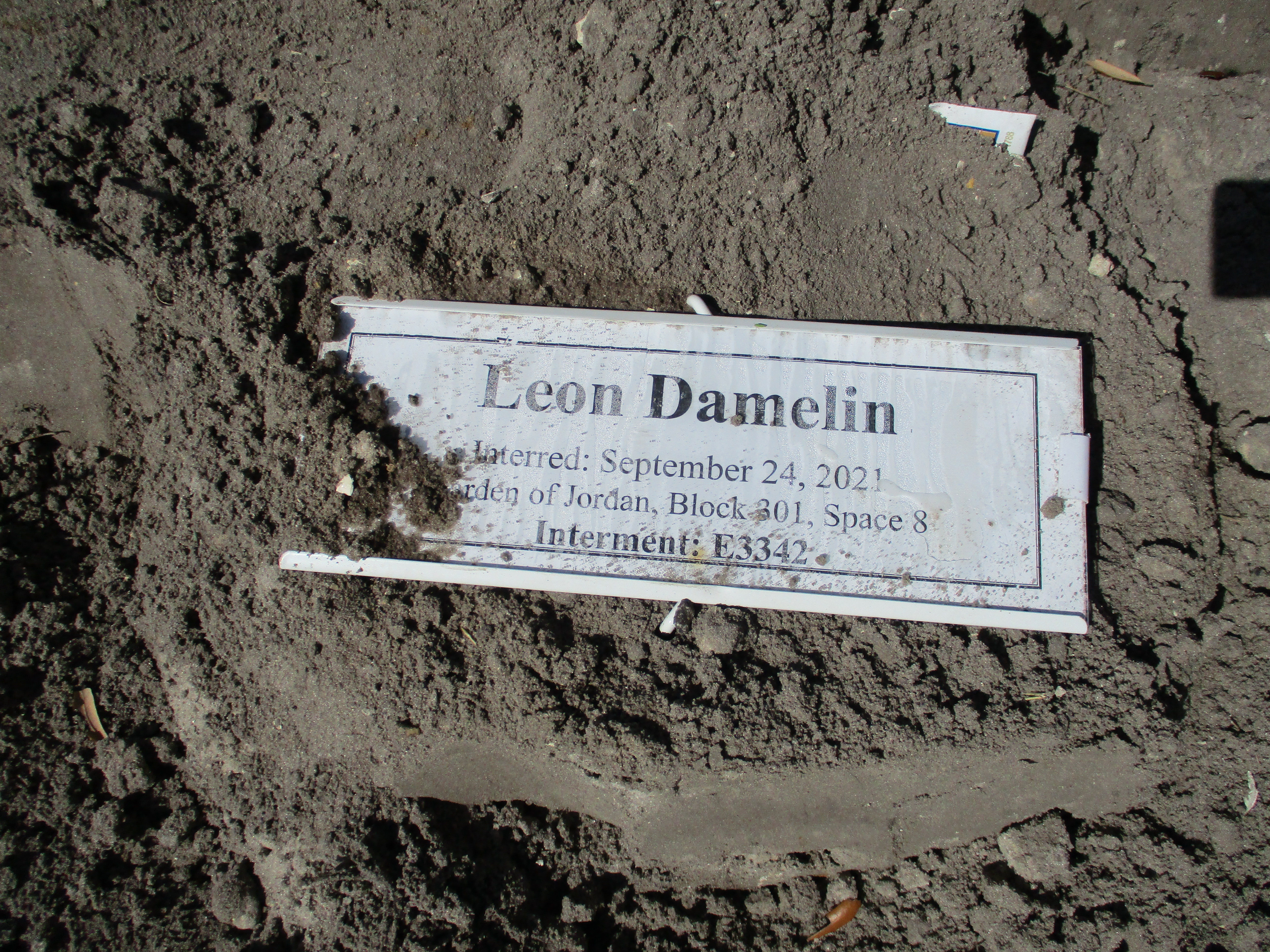 Leon Damelin