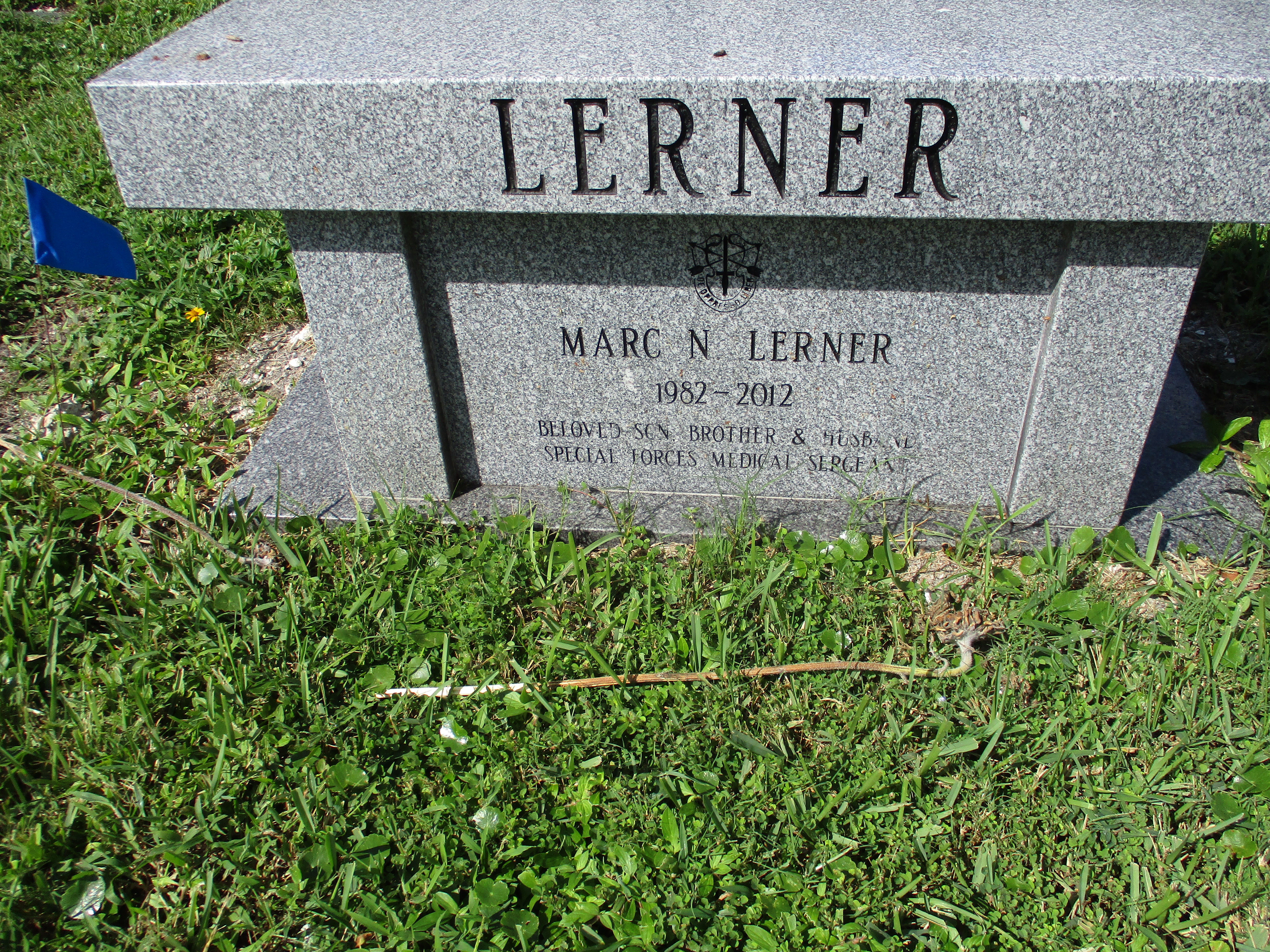 Marc N Lerner
