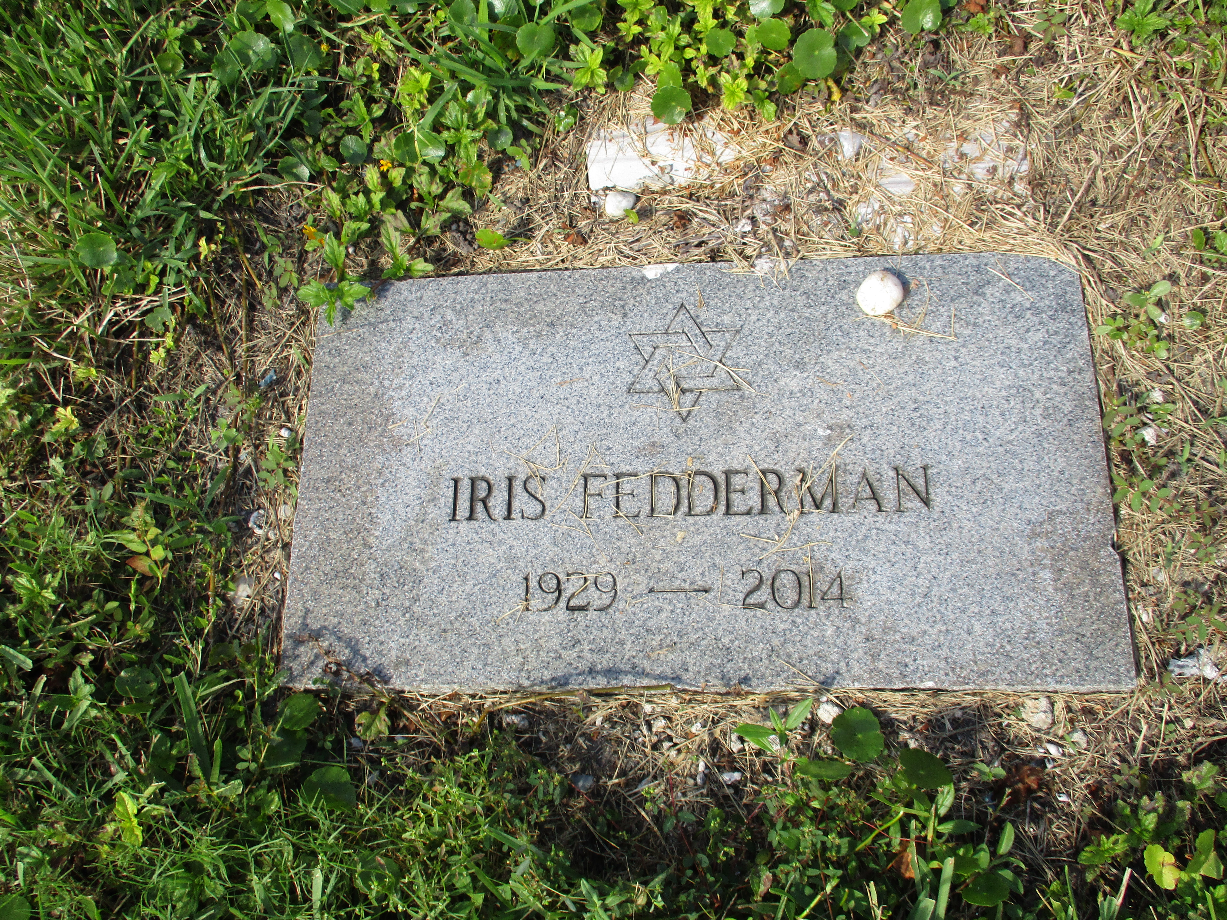 Iris Fedderman