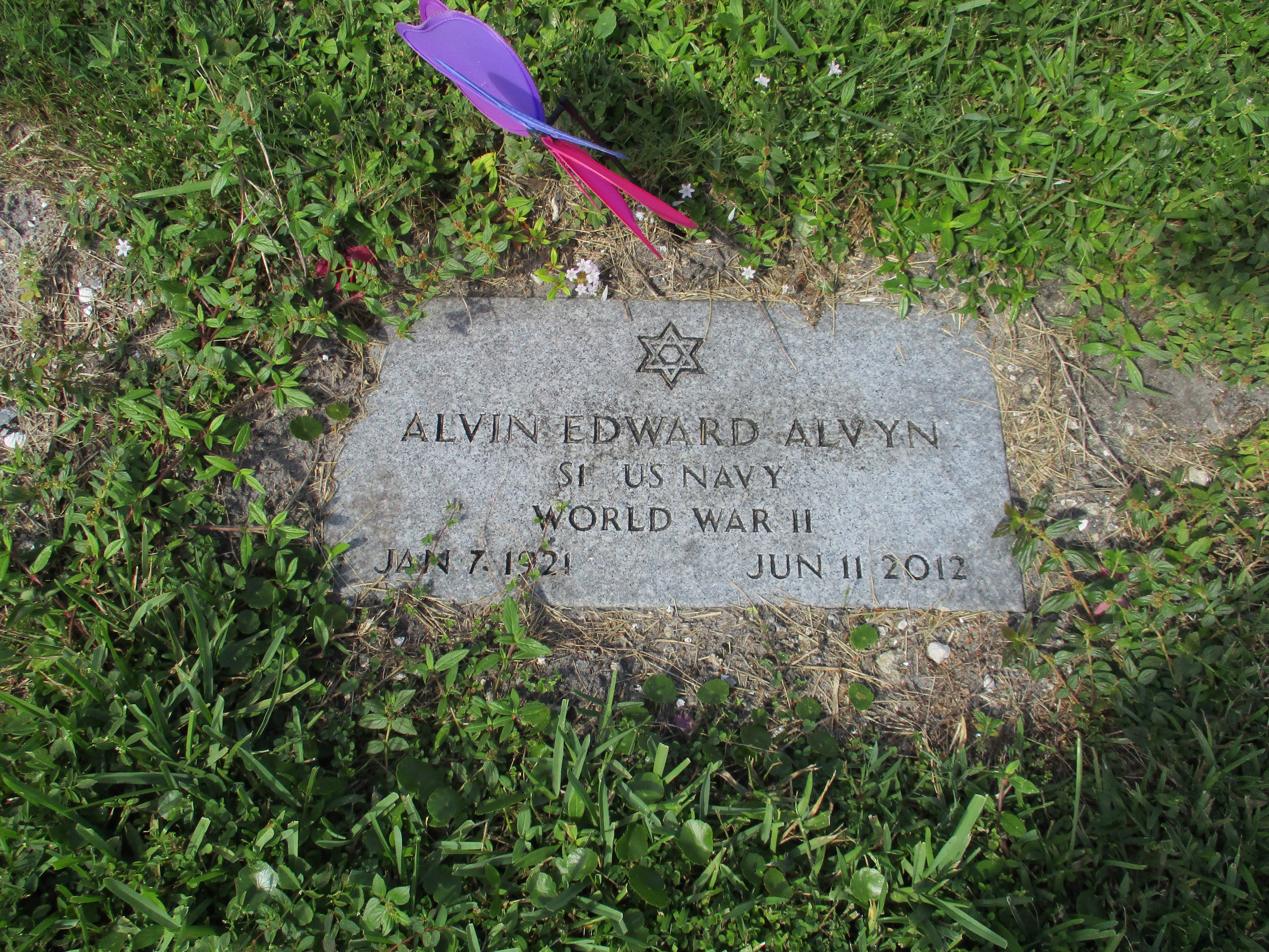 Alvin Edward Alvyn
