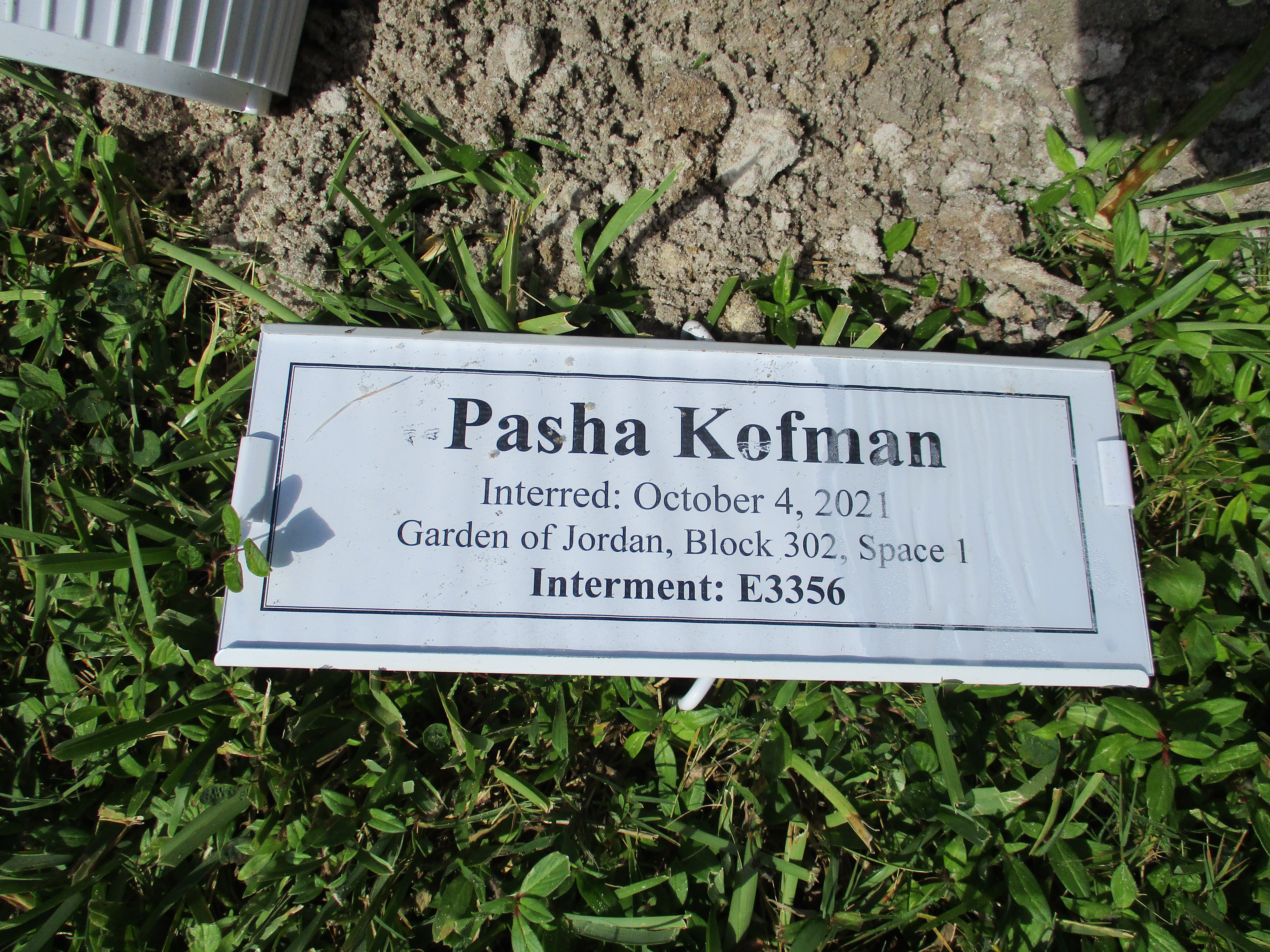 Pasha Kofman