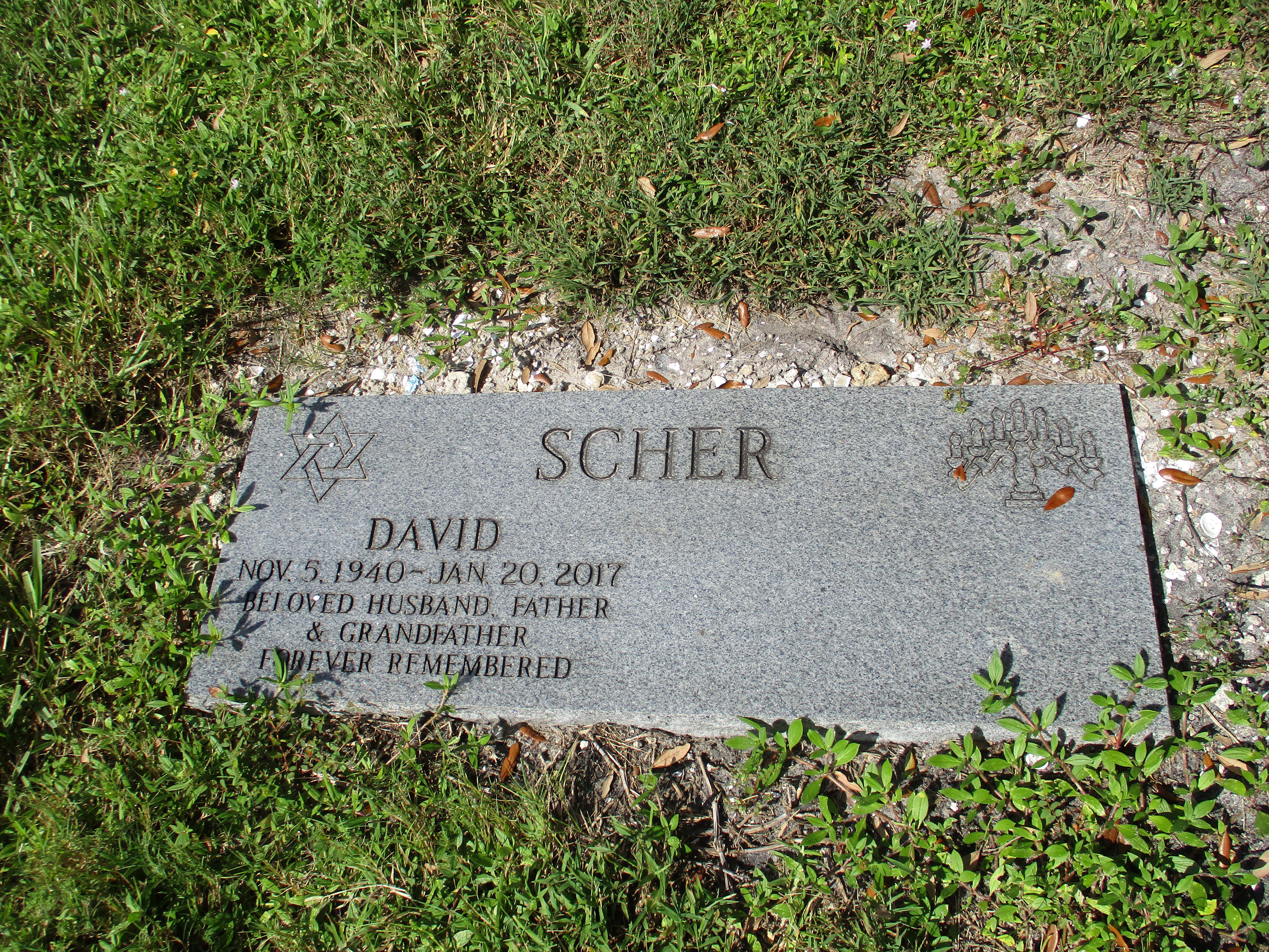 David Scher