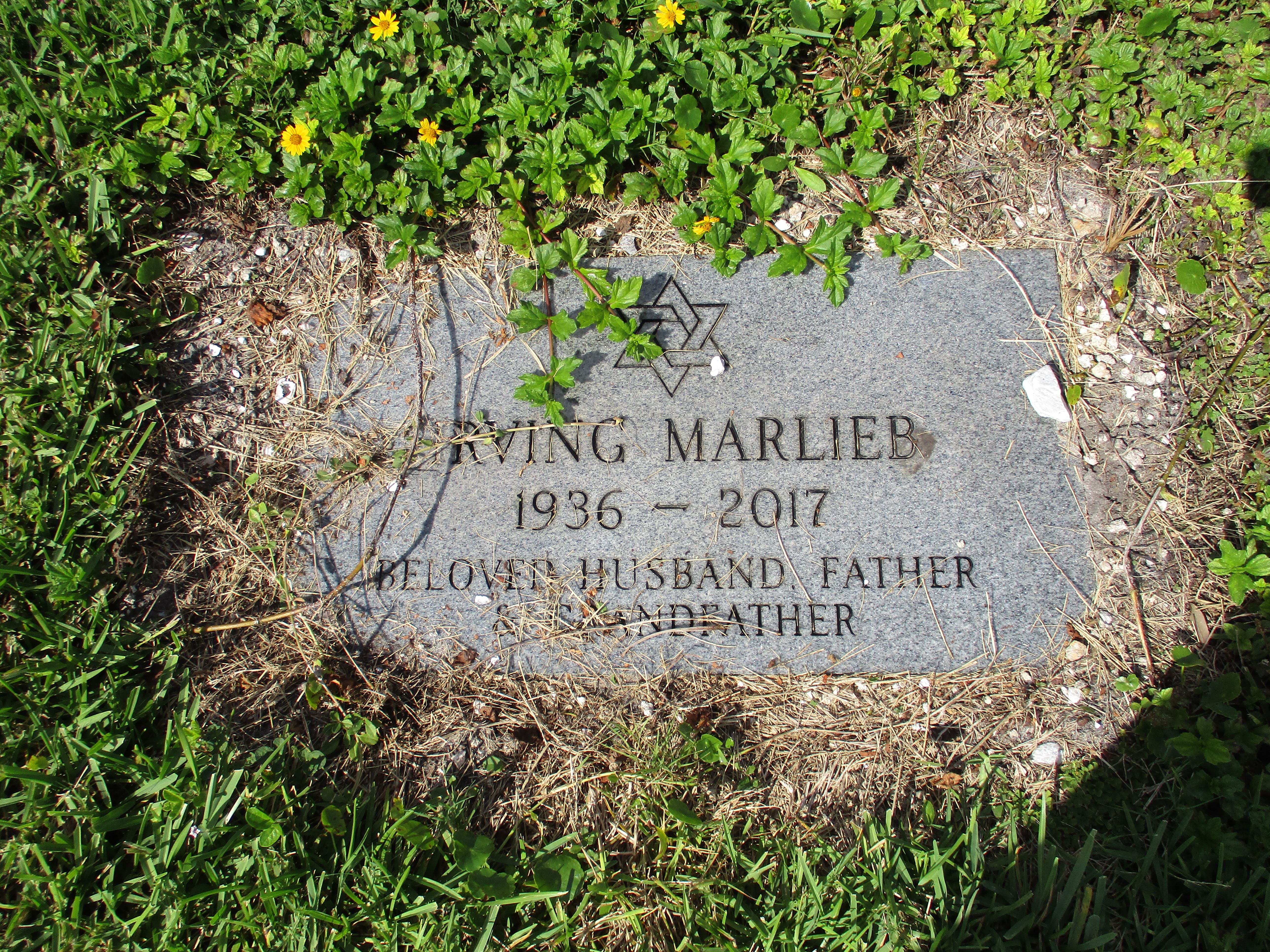 Irving Marlieb