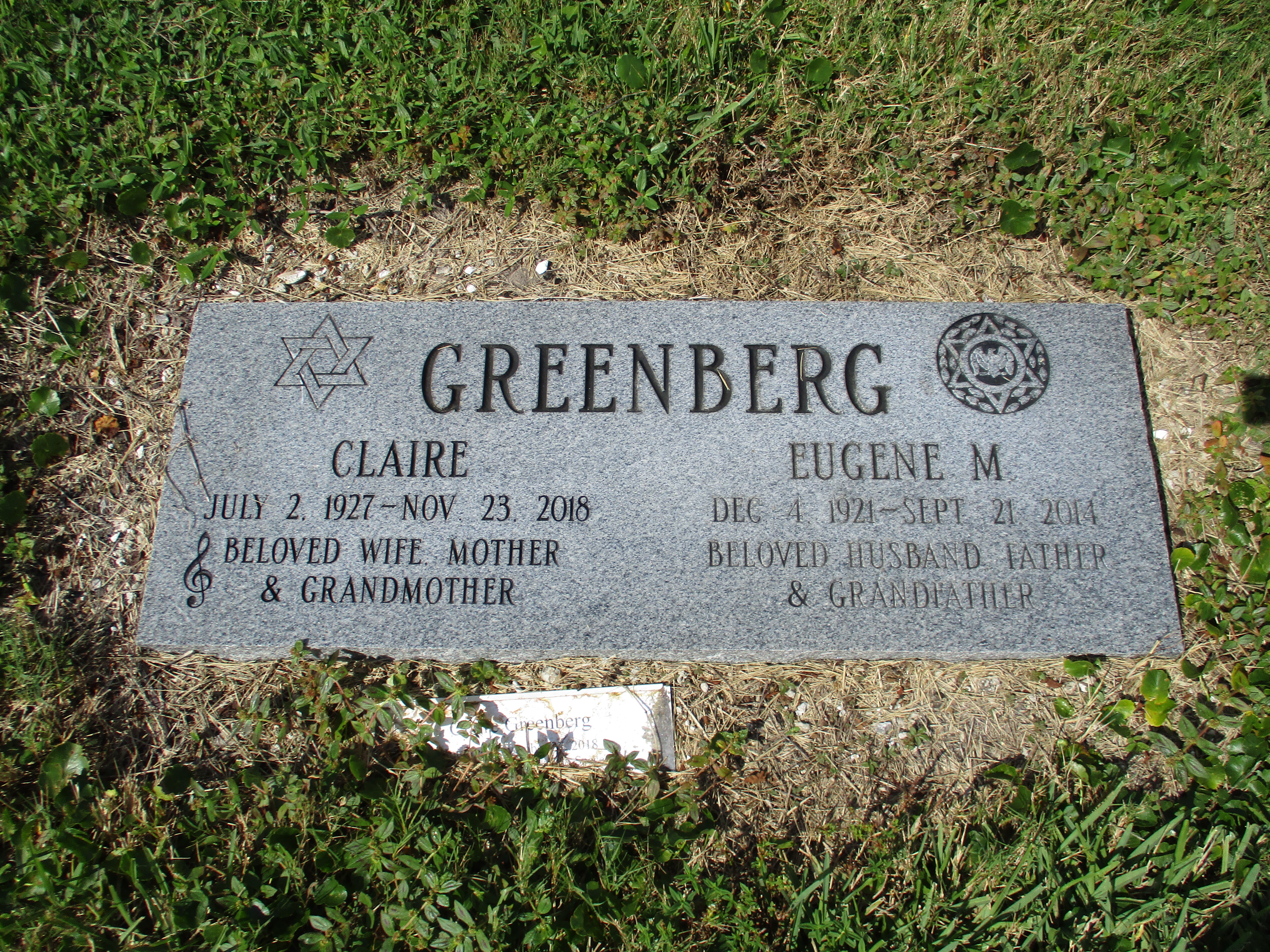 Eugene M Greenberg