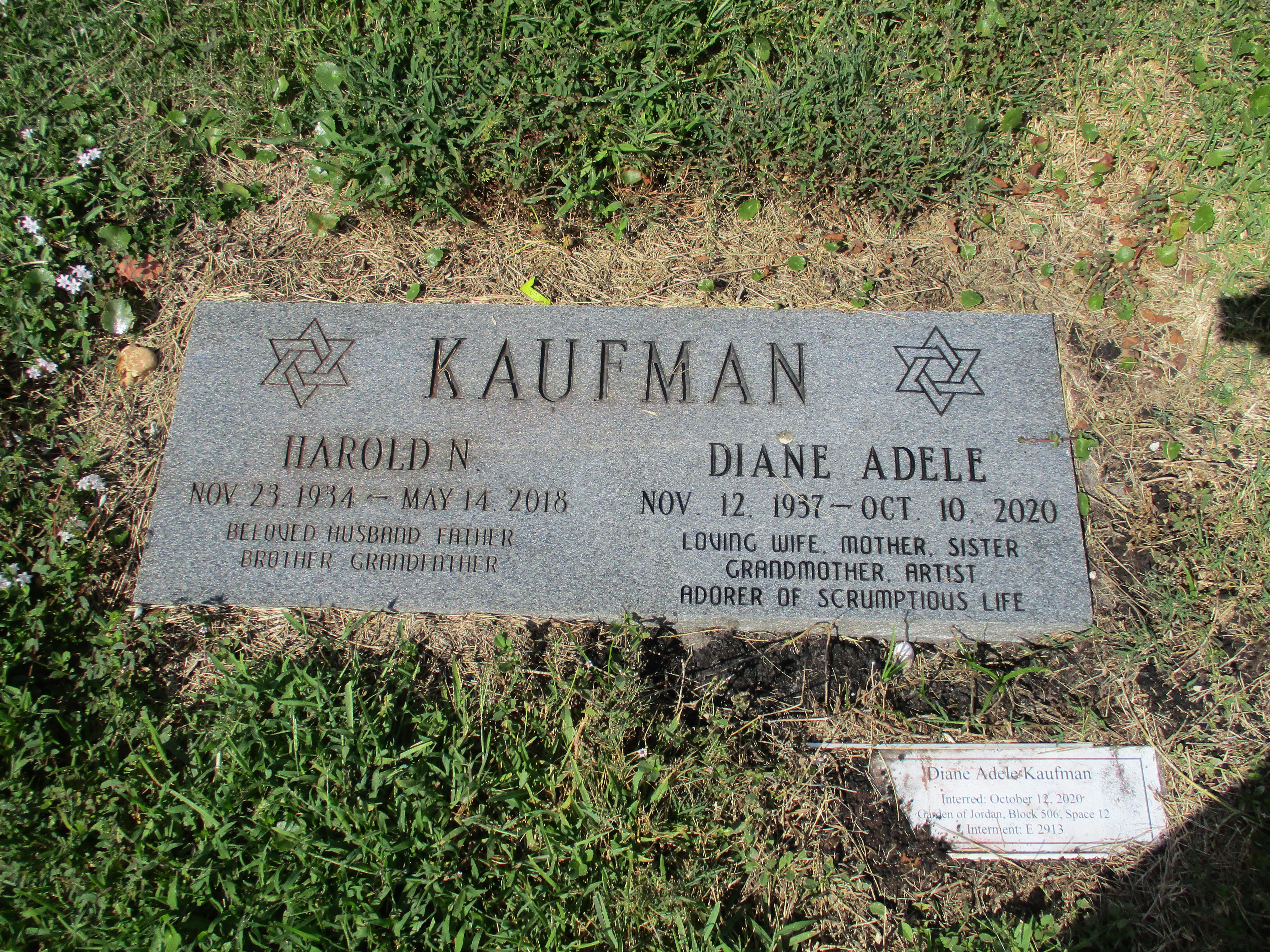 Harold N Kaufman