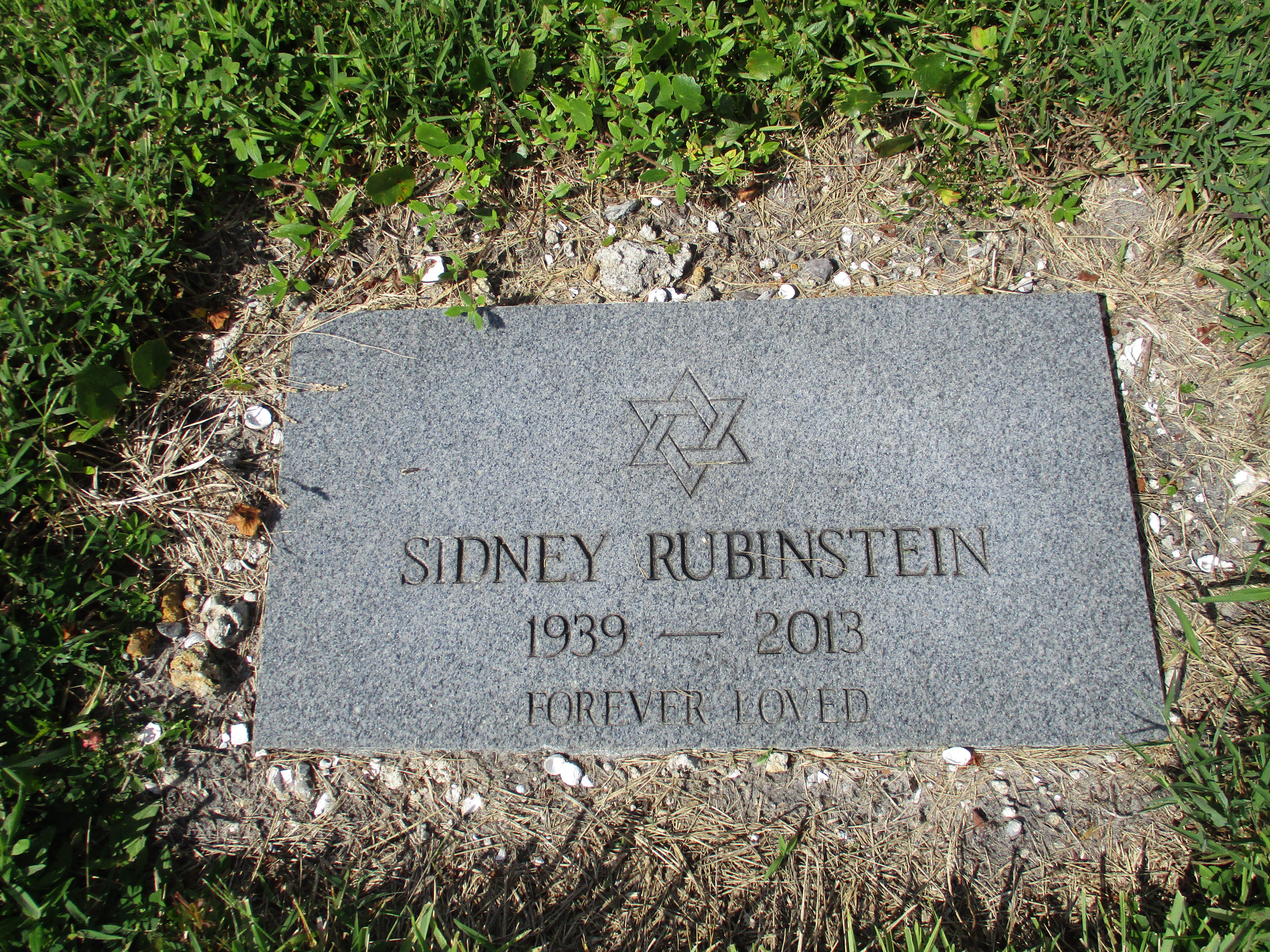 Sidney Rubinstein
