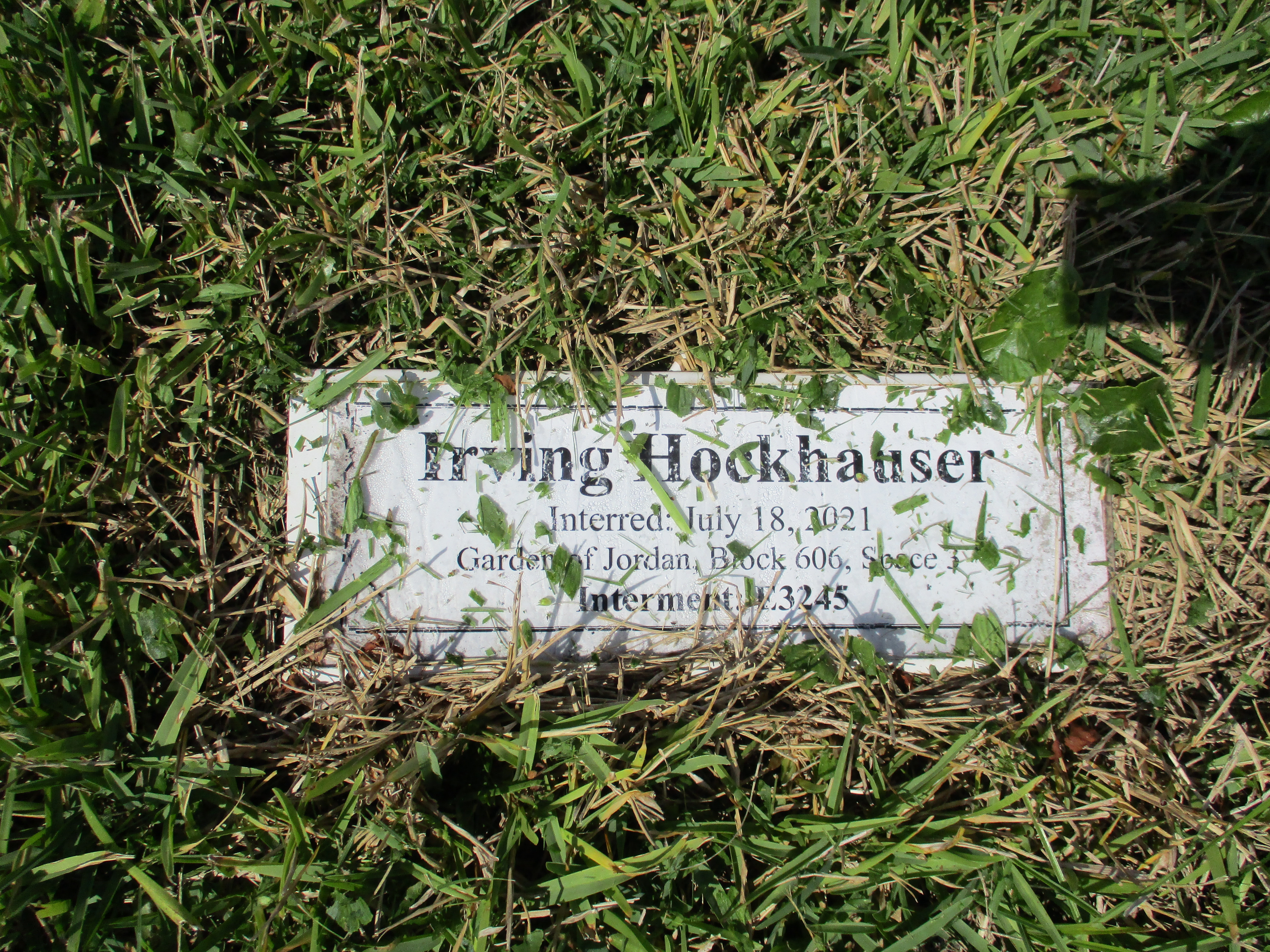 Irving Hockhauser