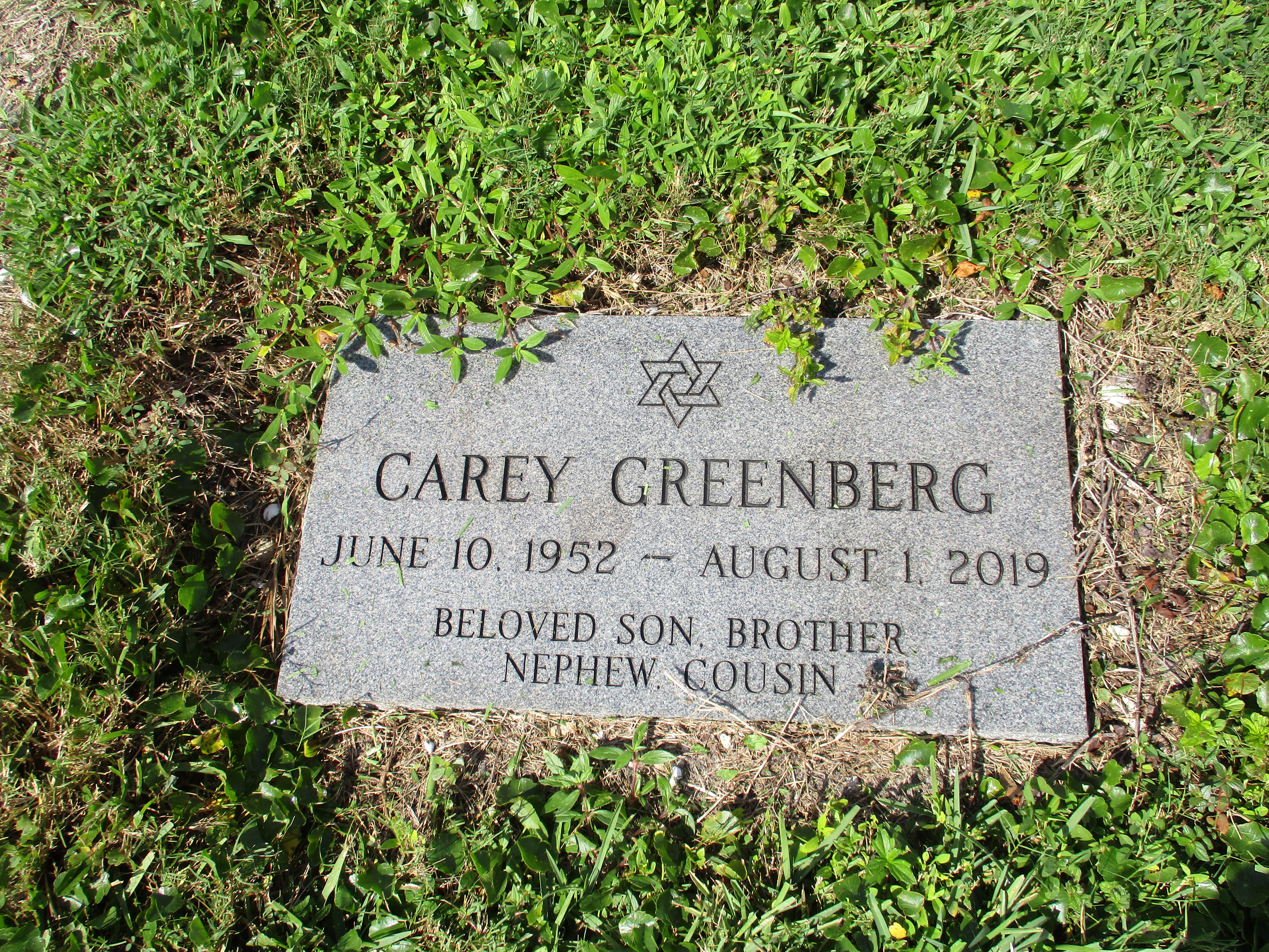 Carey Greenberg