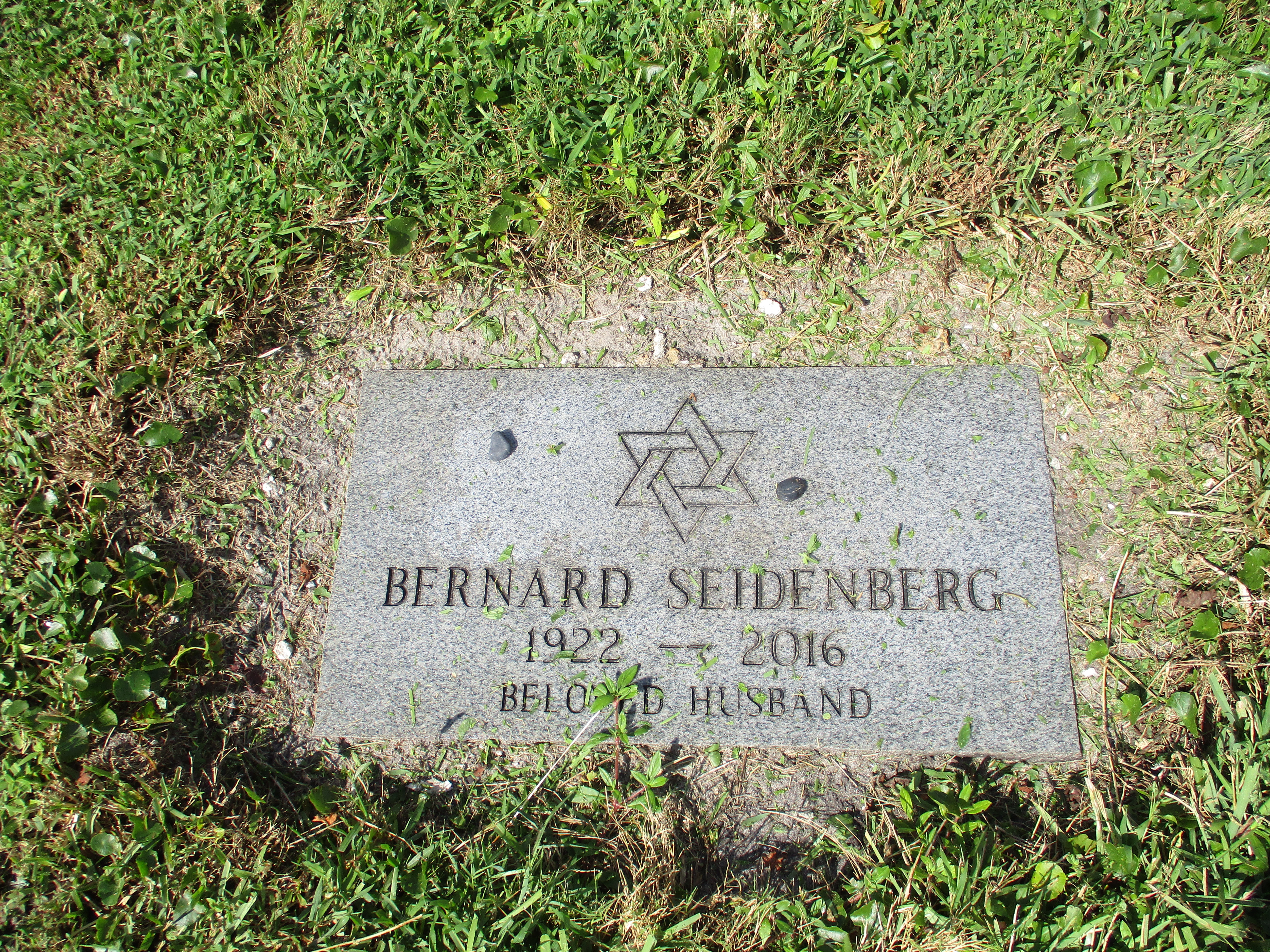 Bernard Seidenberg