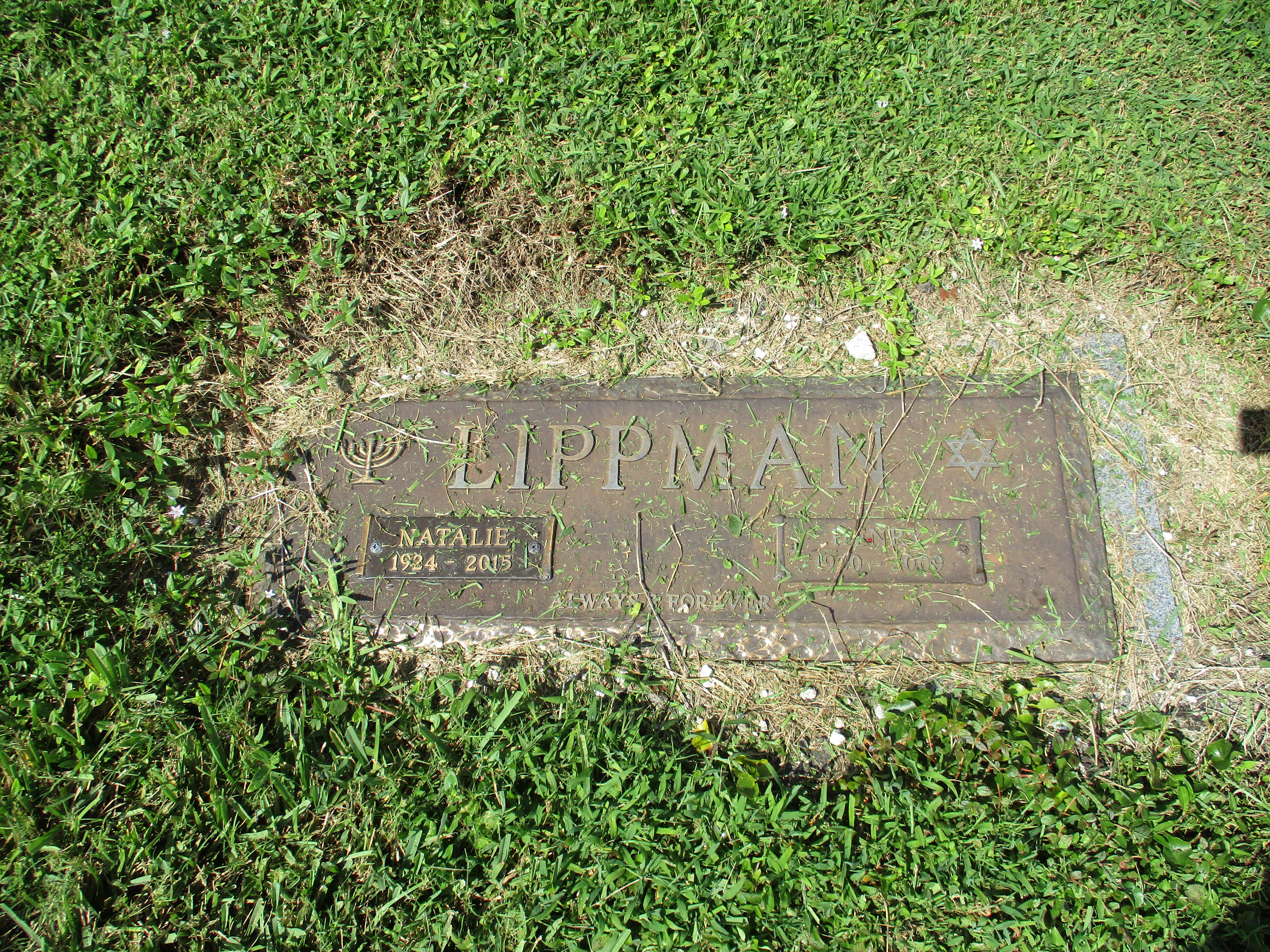 Henry Lippman