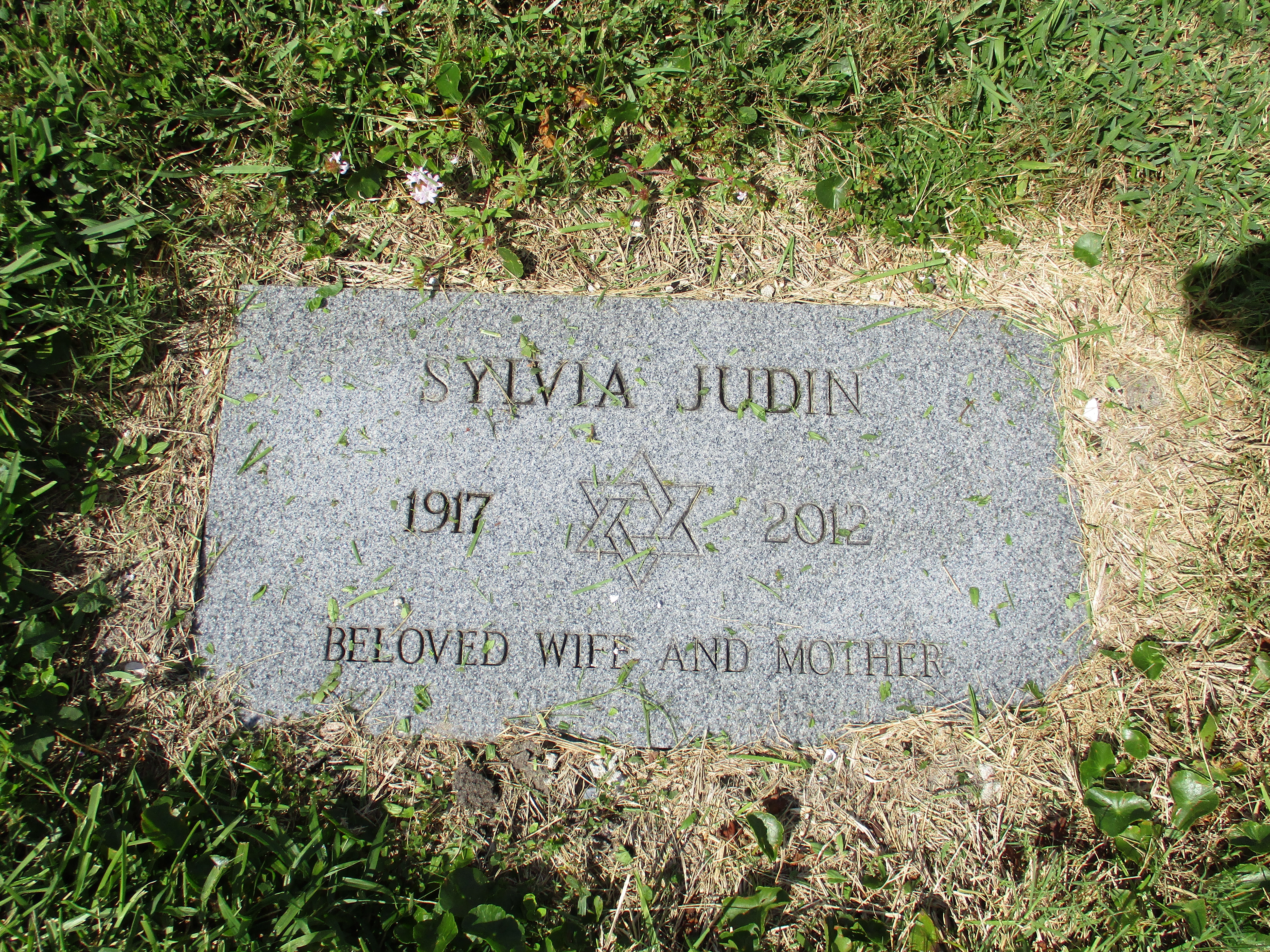 Sylvia Judin
