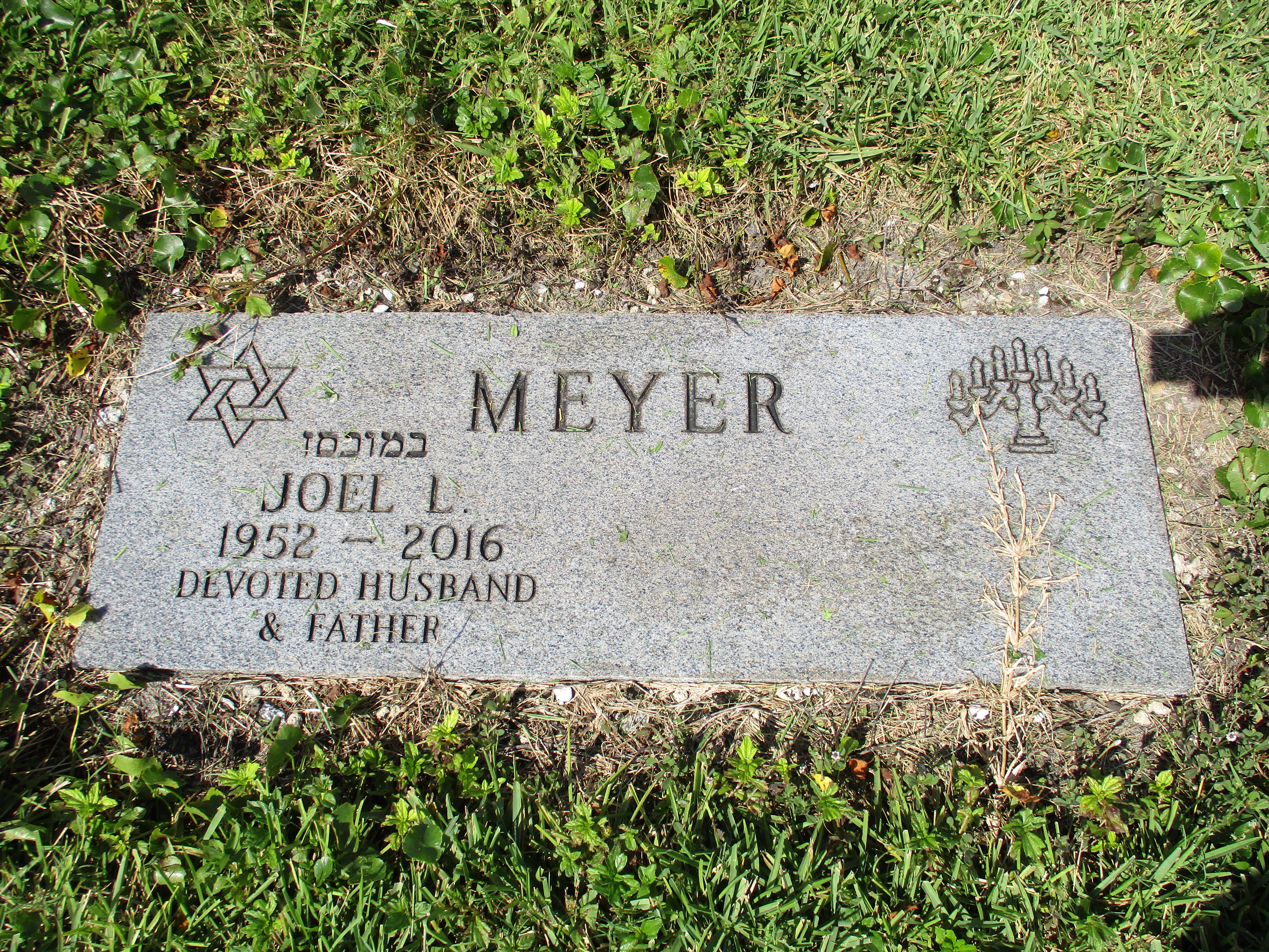 Joel L Meyer