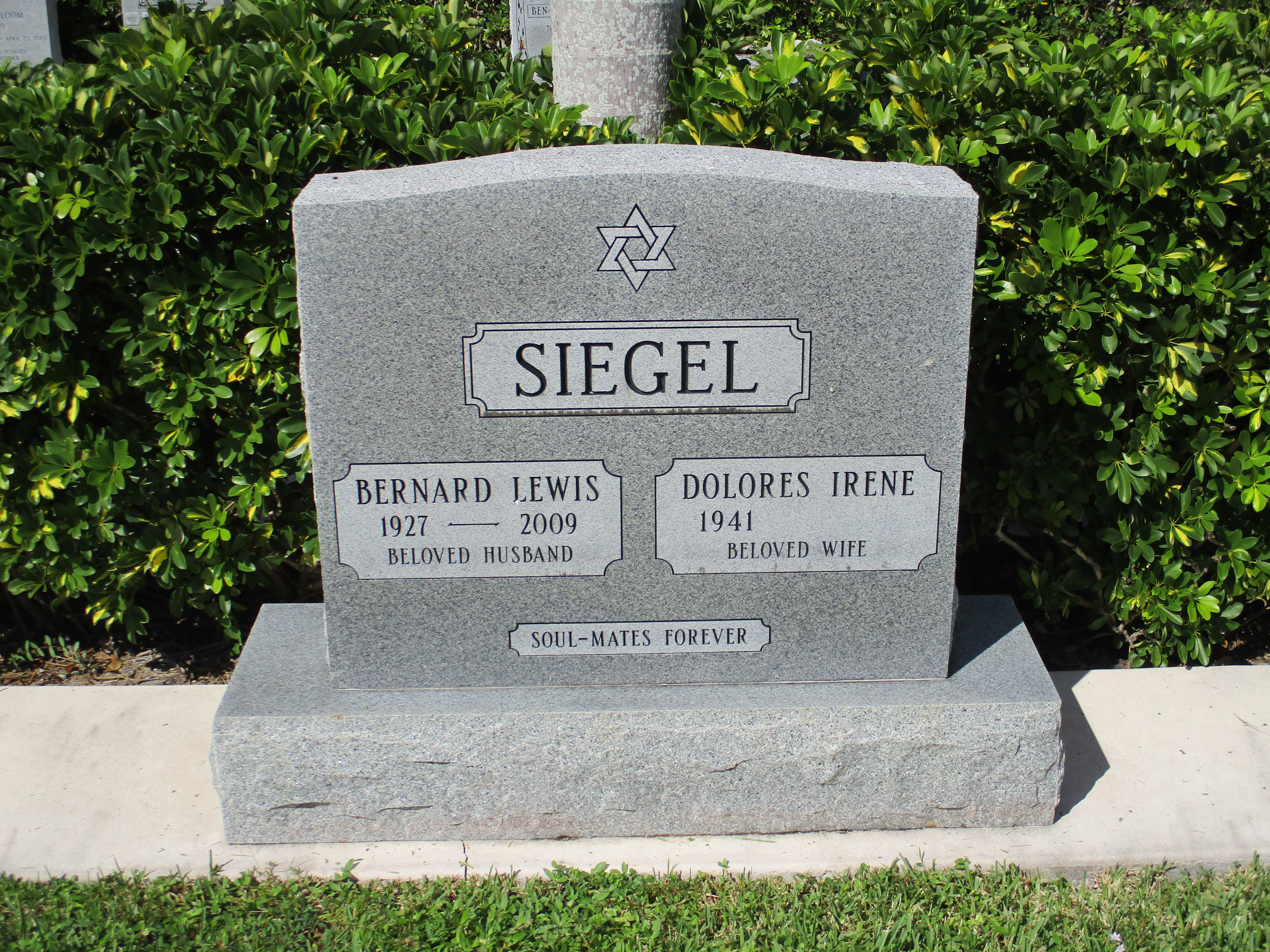 Bernard Lewis Siegel