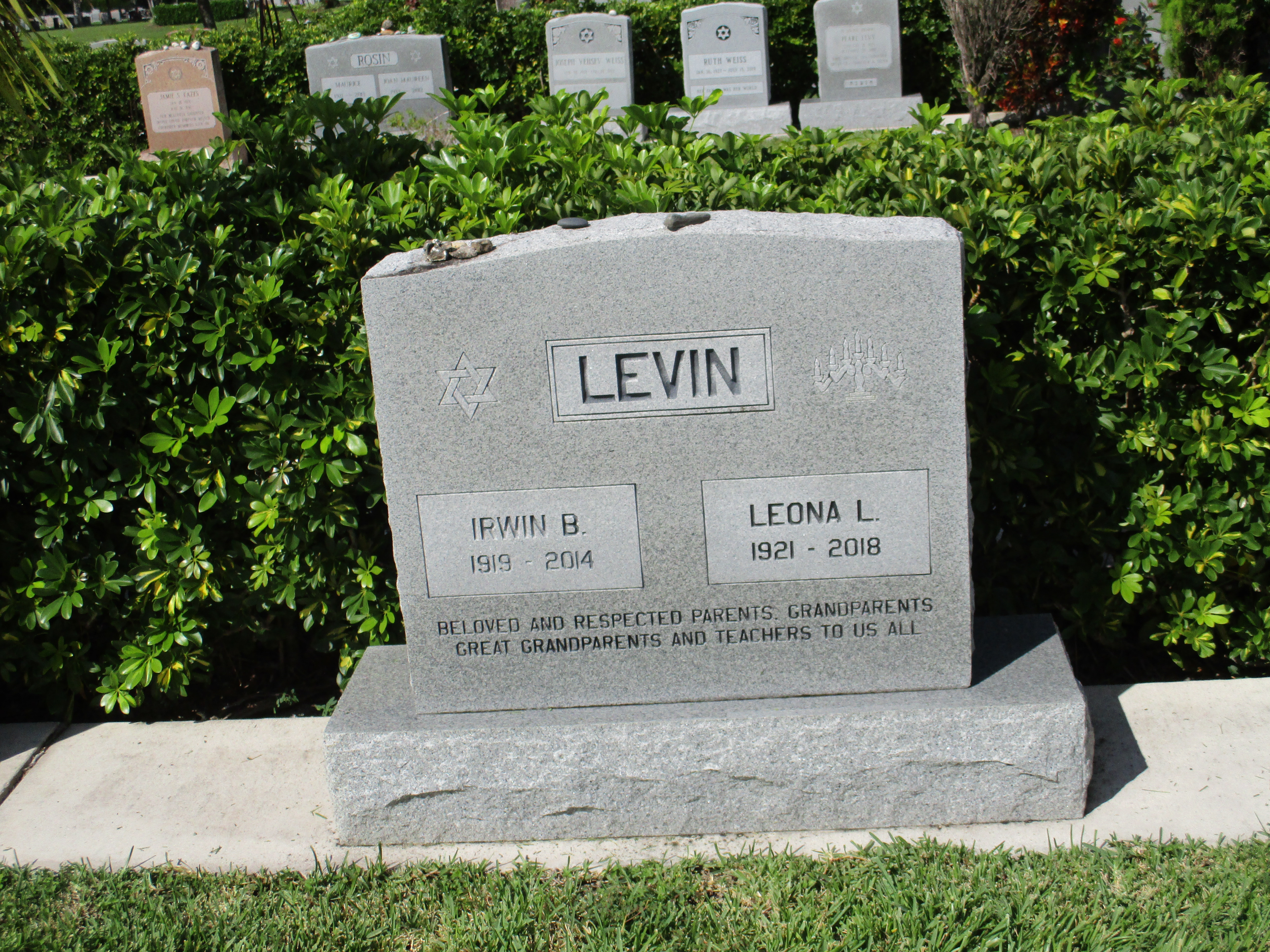 Irwin B Levin