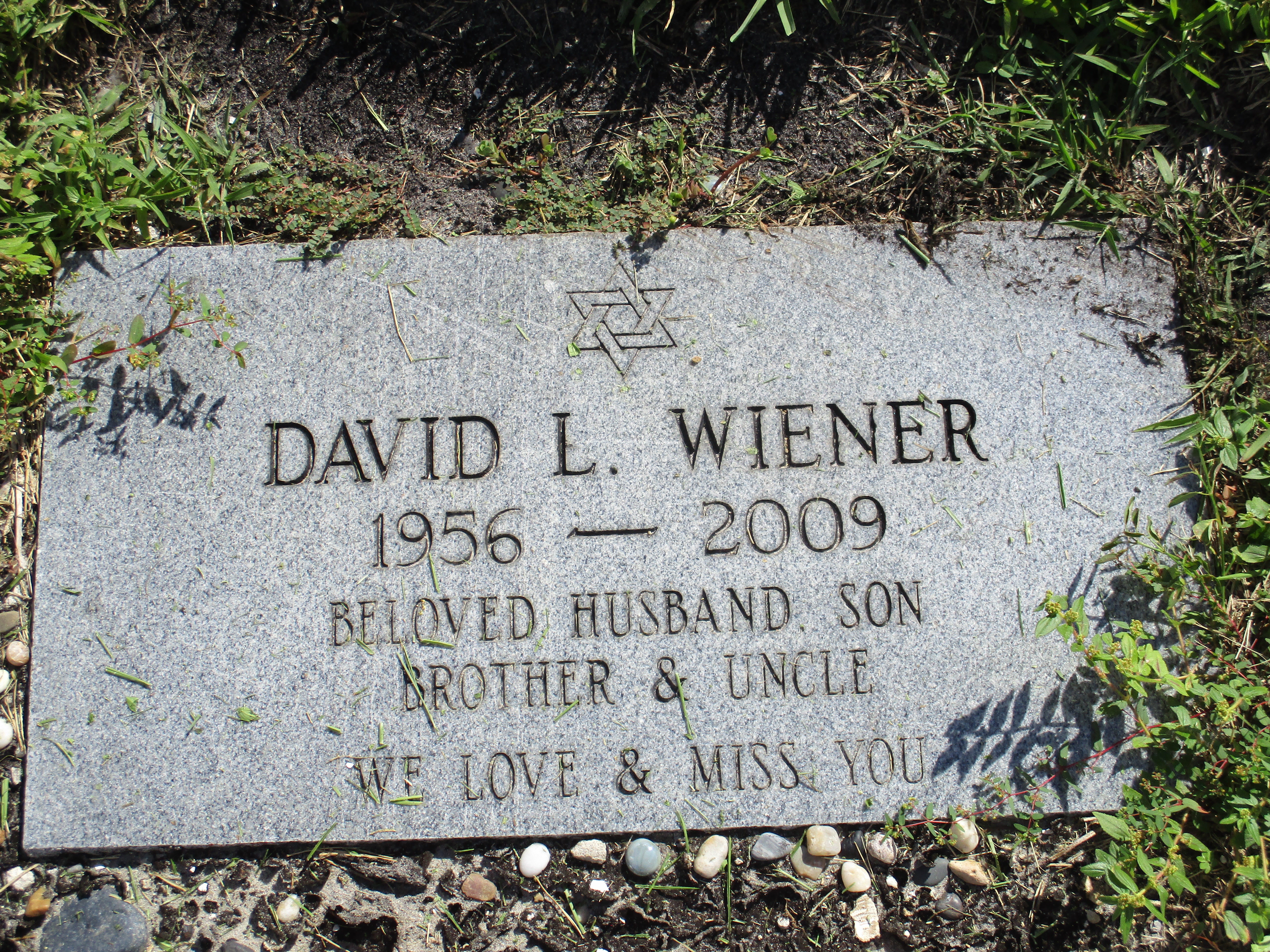 David L Wiener