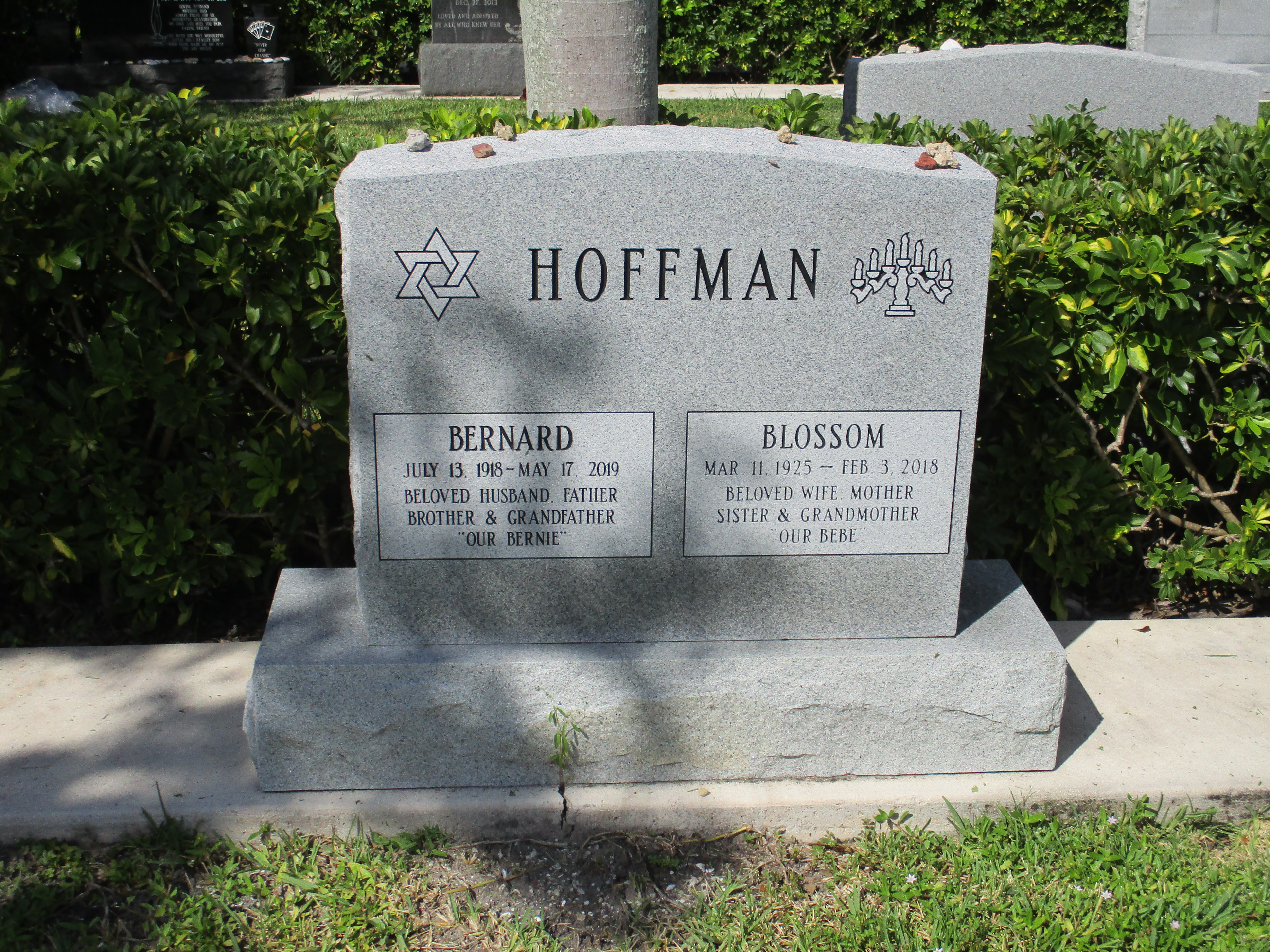 Blossom Hoffman