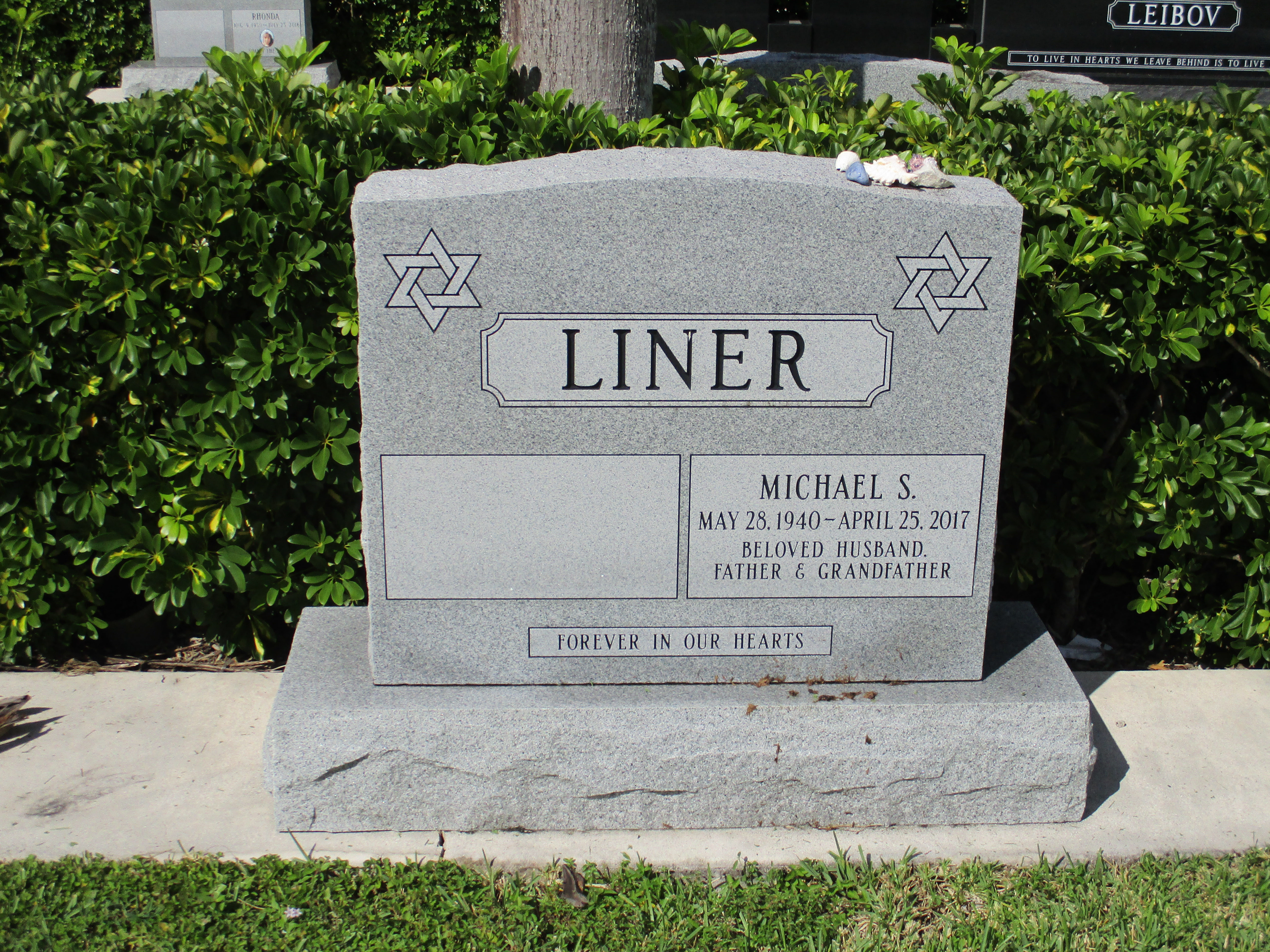 Michael S Liner