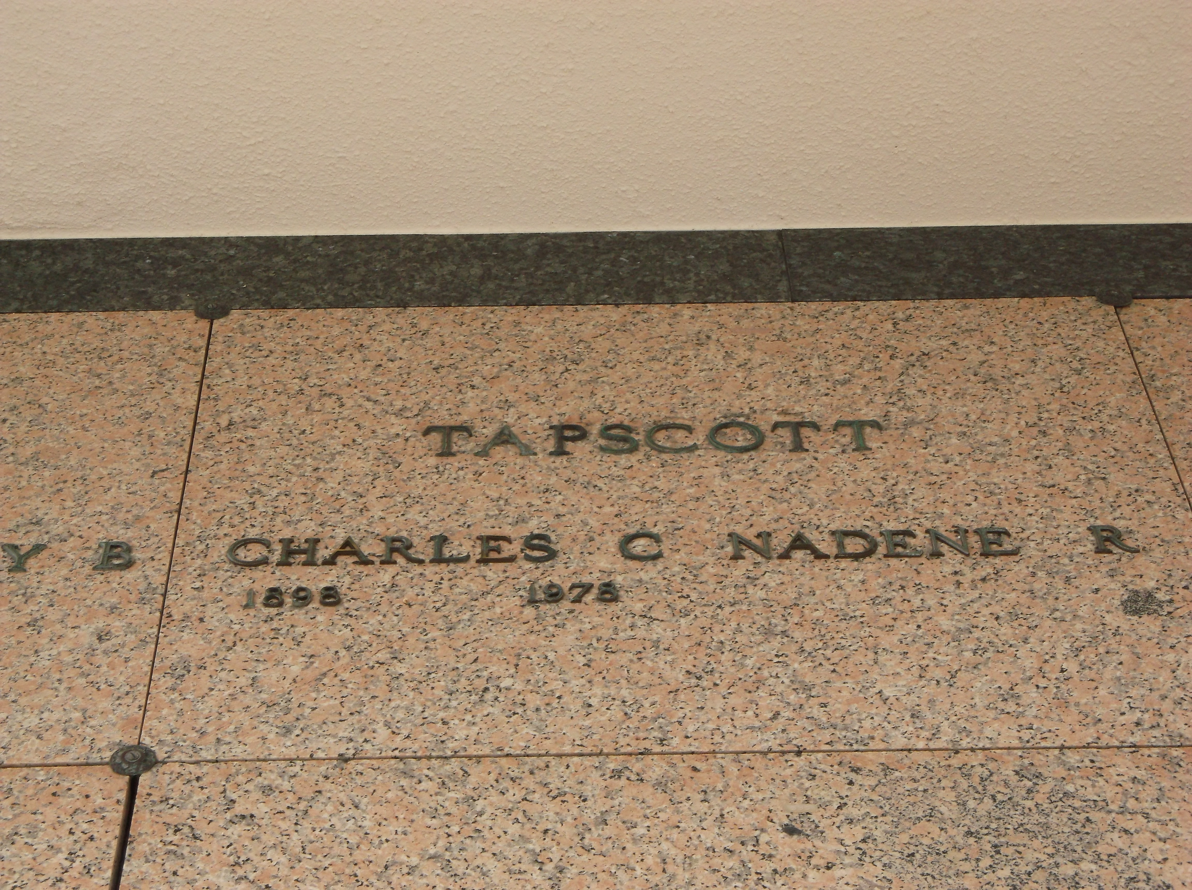 Nadene R Tapscott