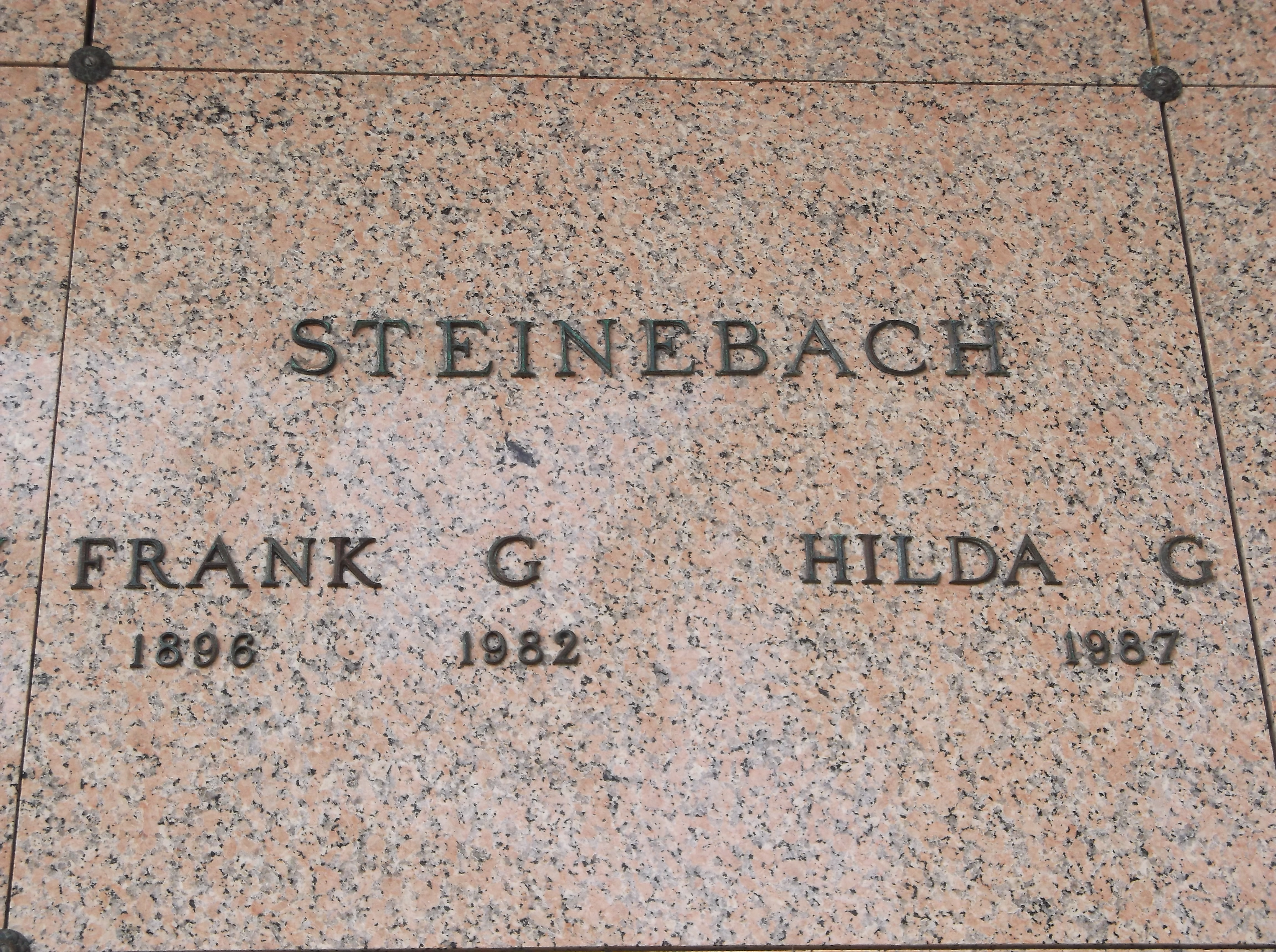 Frank G Steinebach