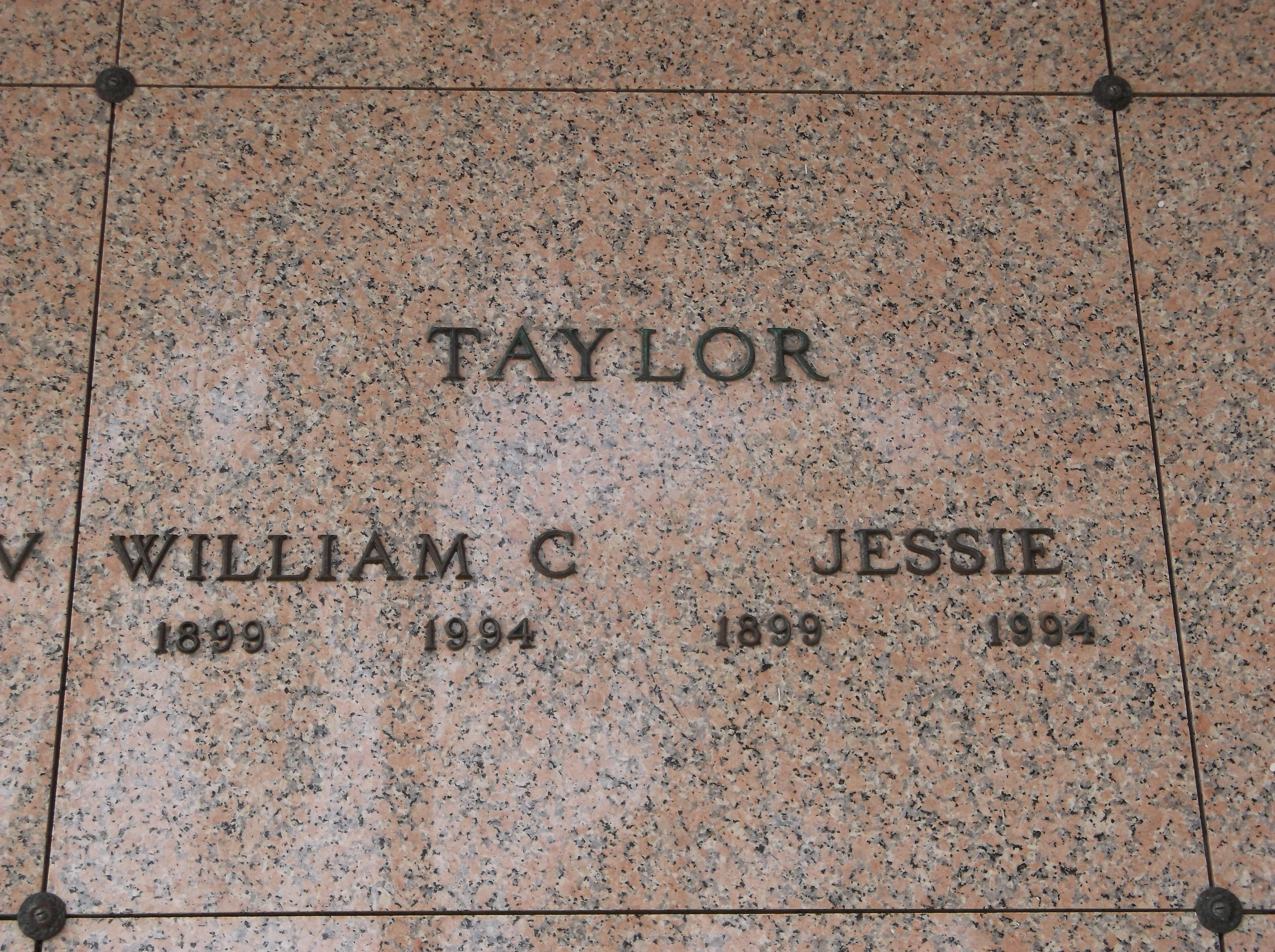 Jessie Taylor