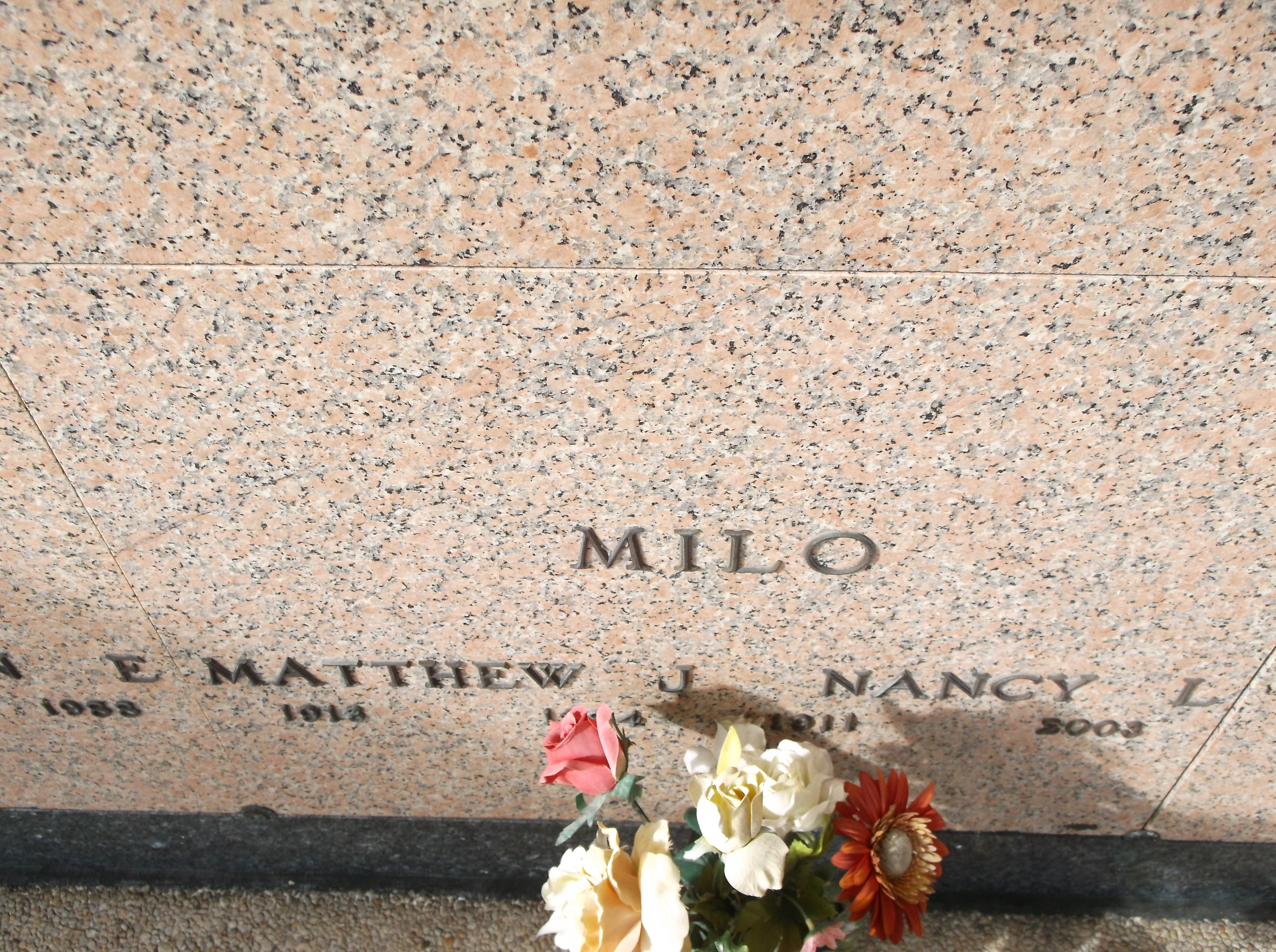 Matthew J Milo