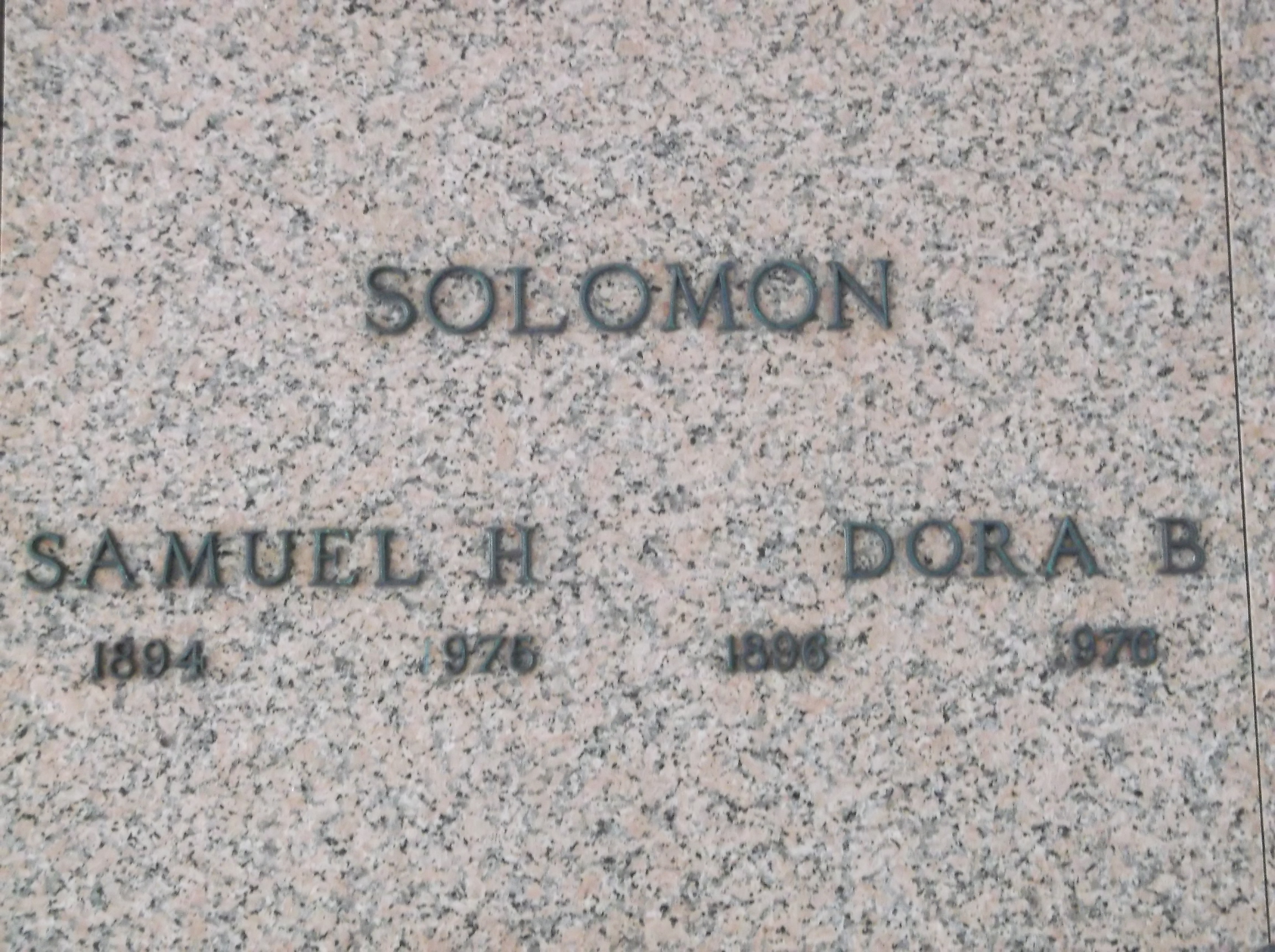 Samuel H Solomon